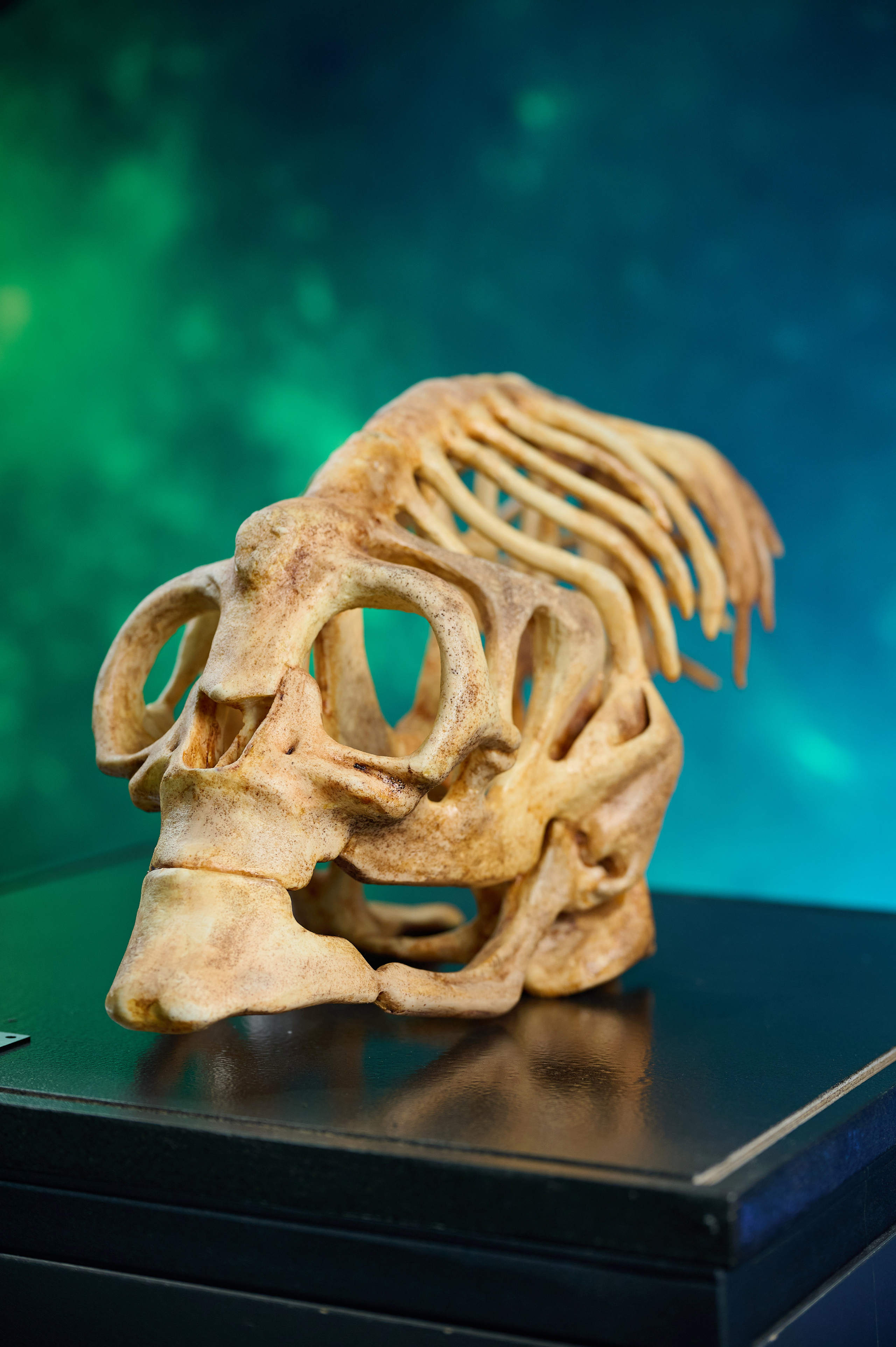 Вторжение инопланетян. Фотограф Опыт Качество Скорость Горный Алтай Барнаул