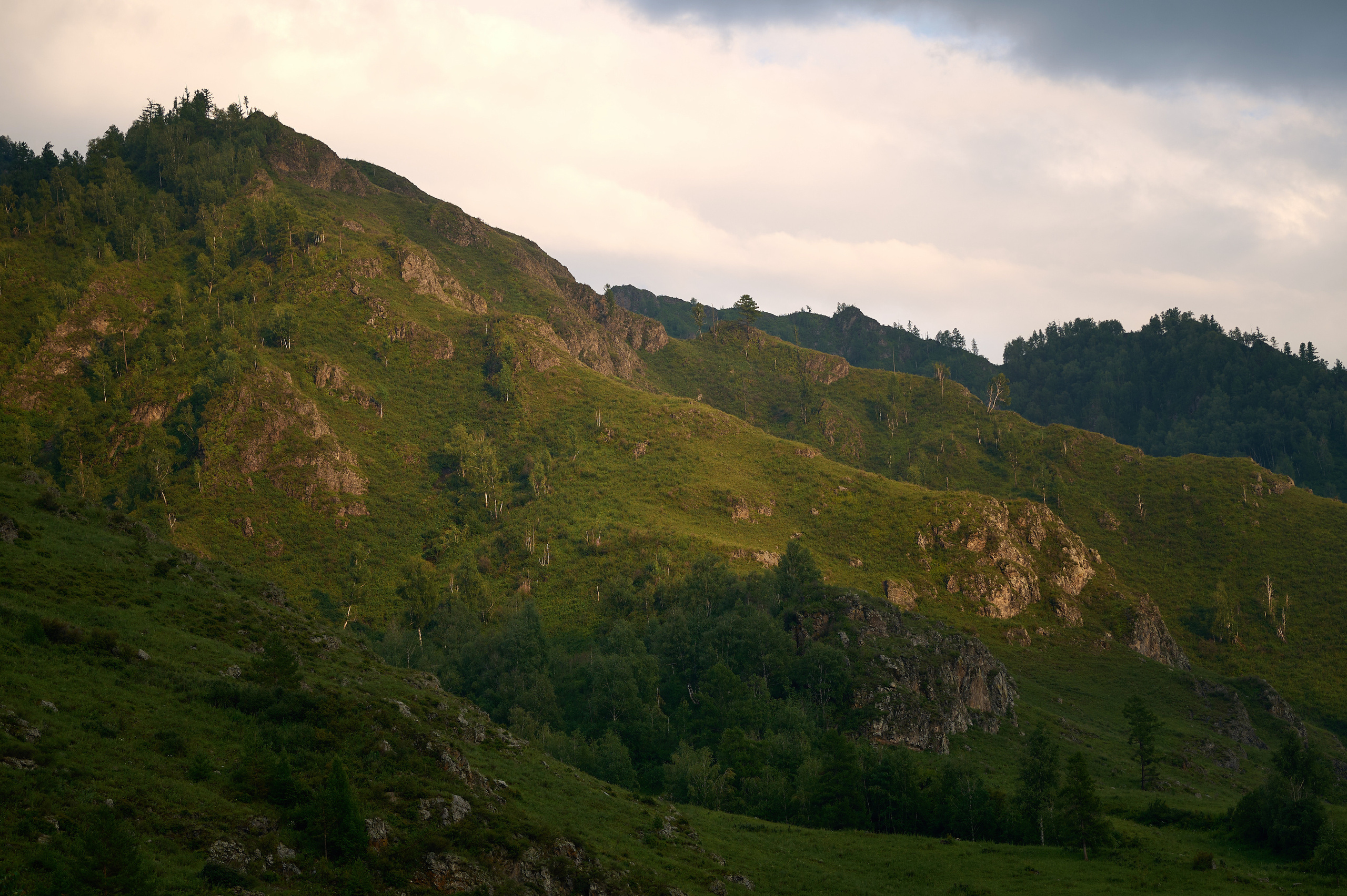 Altay Chalet винный вечер. Фотограф Опыт Качество Скорость Горный Алтай Барнаул