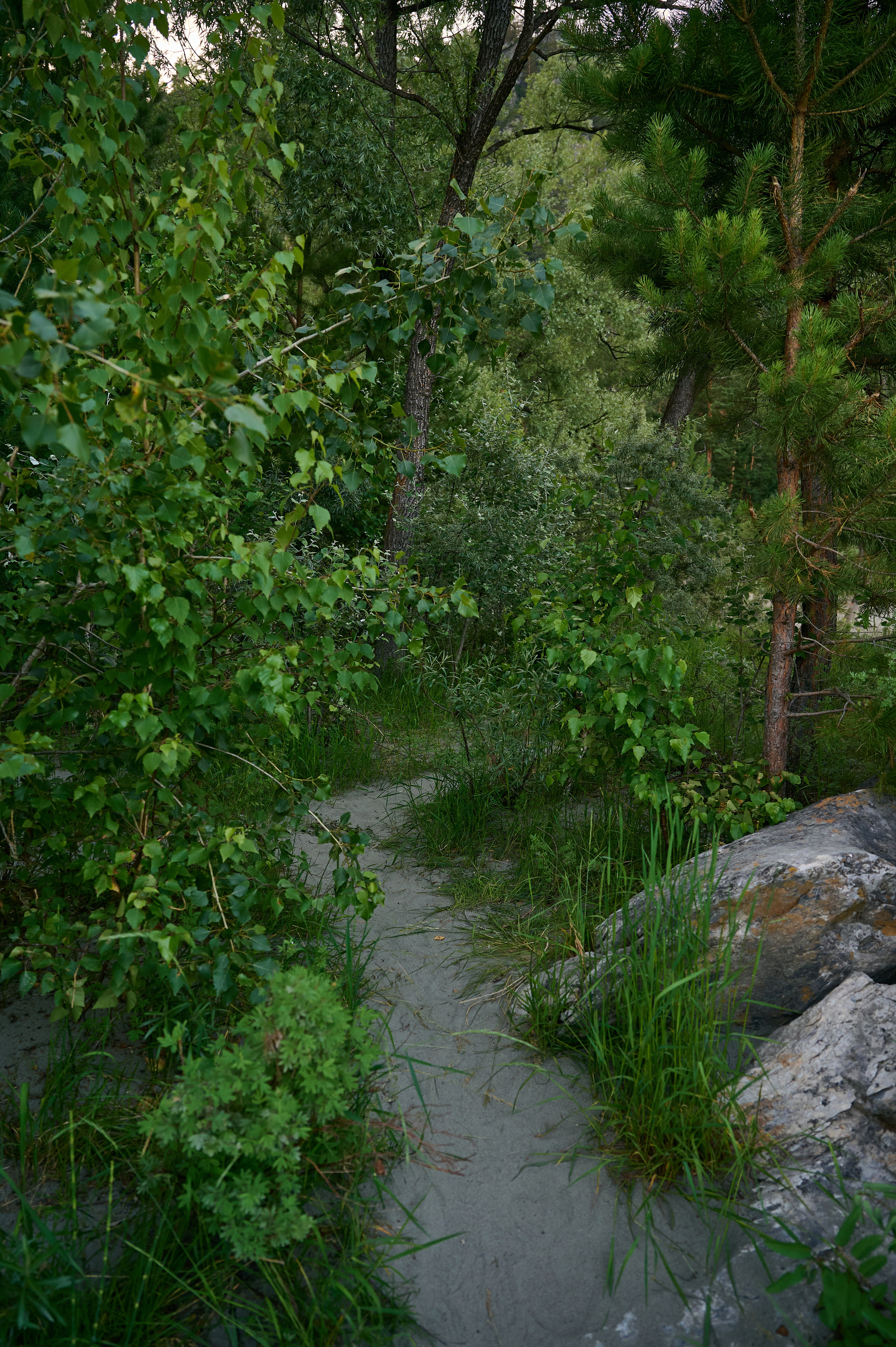 Пейзажный фотограф в Горном Алтае: съёмки природы и гор. Фотограф Опыт Качество Скорость Горный Алтай Барнаул