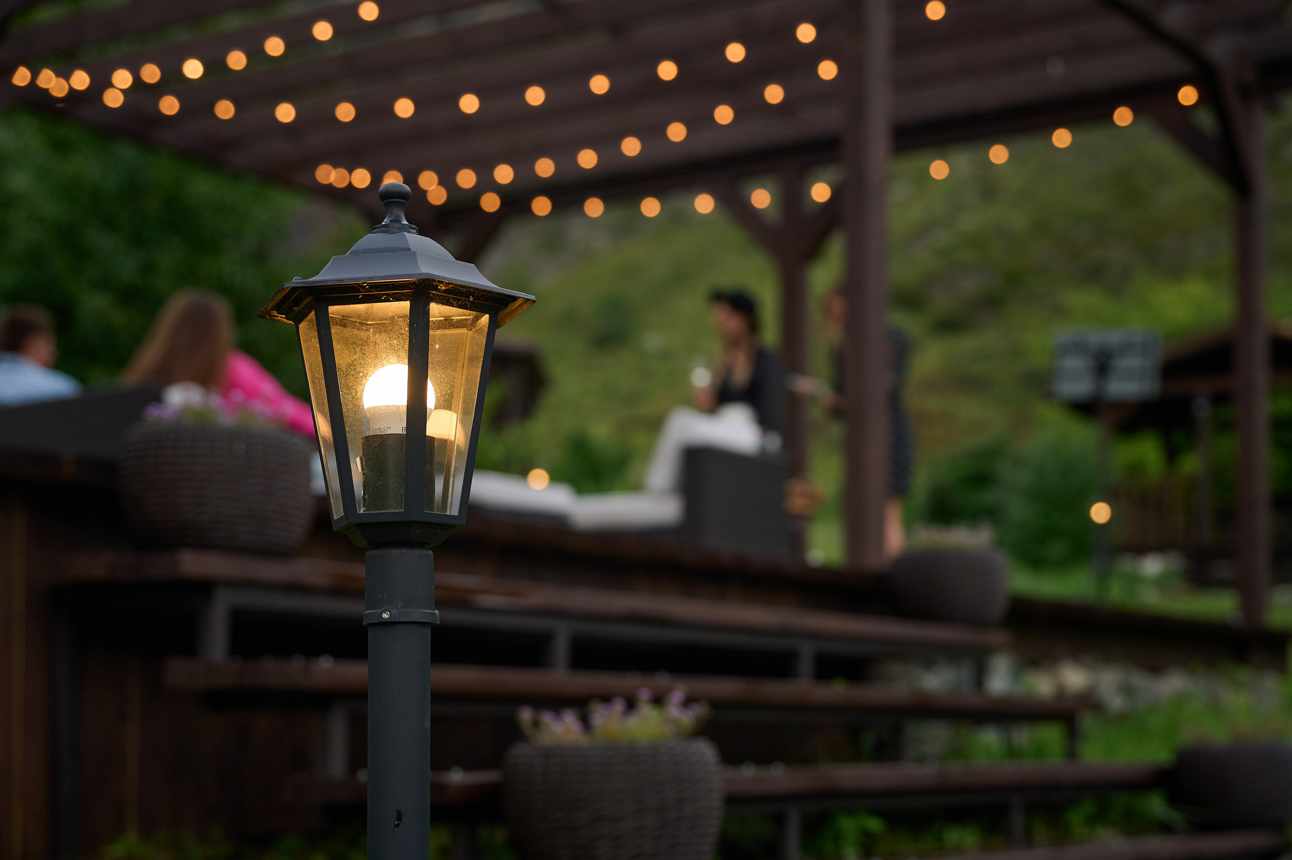 Altay Chalet винный вечер. Фотограф Опыт Качество Скорость Горный Алтай Барнаул