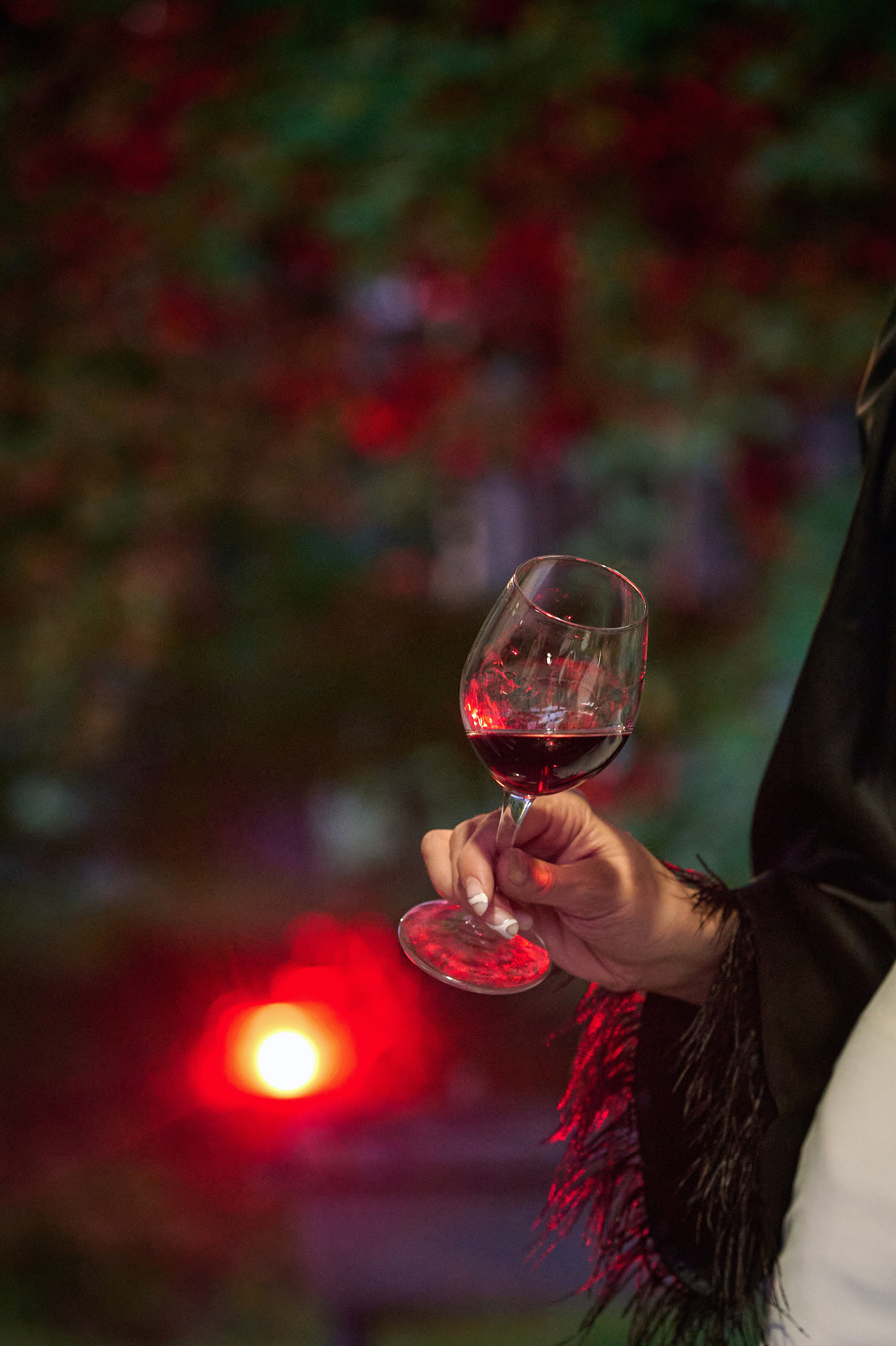 Altay Chalet винный вечер. Фотограф Опыт Качество Скорость Горный Алтай Барнаул