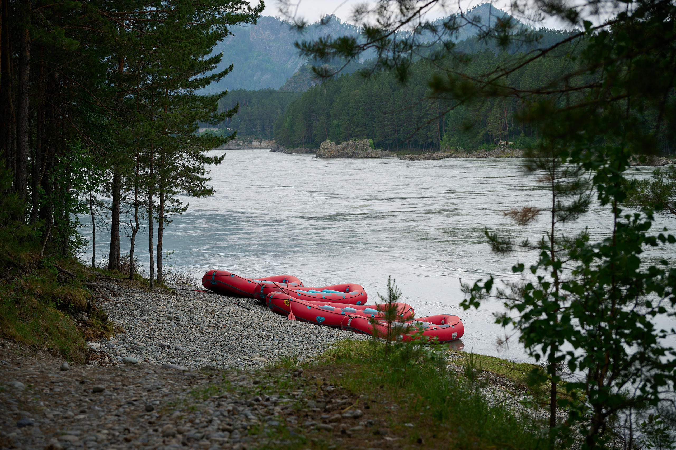 Мейтан юбилей. Фотограф Опыт Качество Скорость Горный Алтай Барнаул