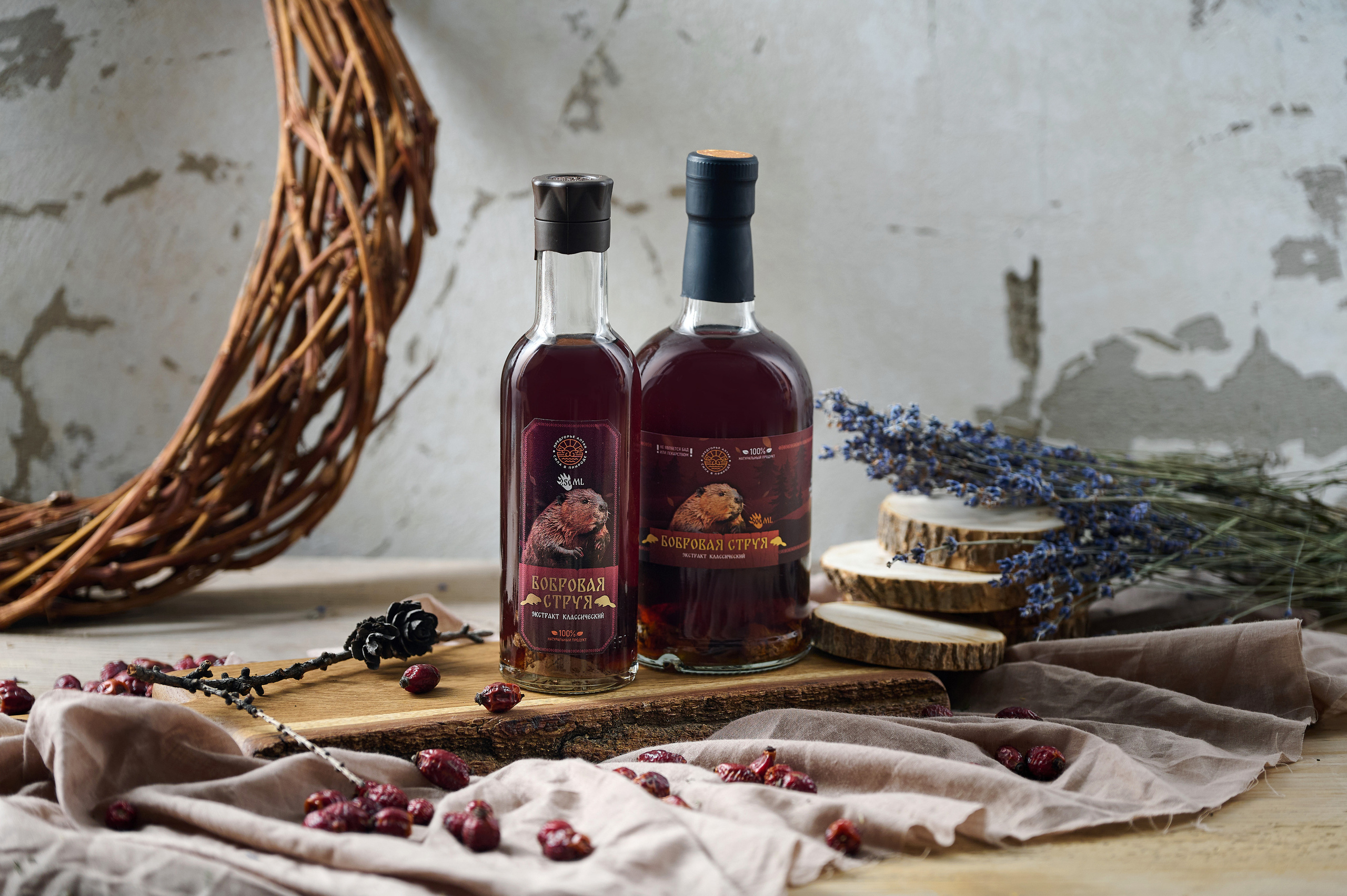 Предгорье Алтая. Фотограф Опыт Качество Скорость Горный Алтай Барнаул