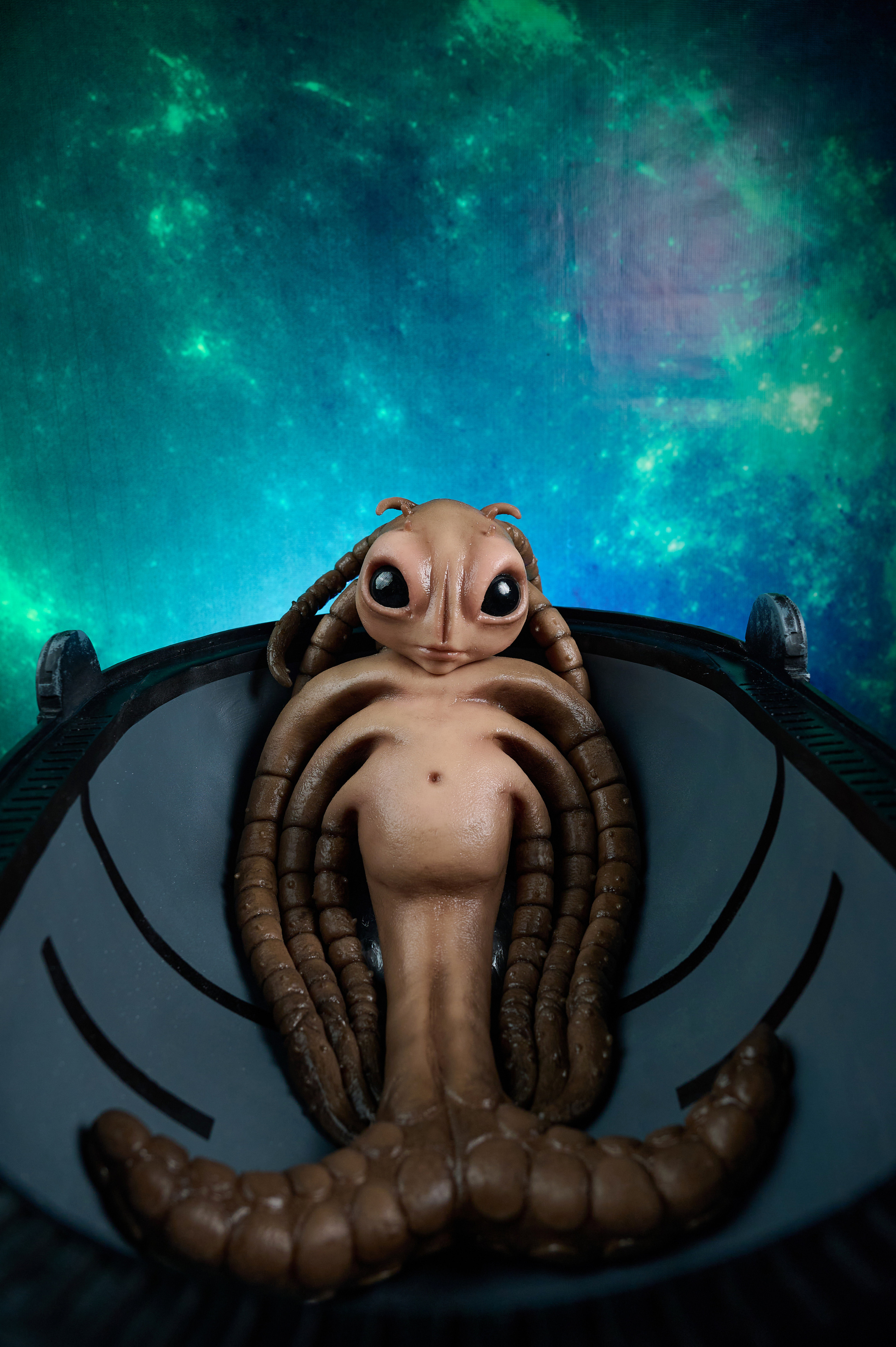 Вторжение инопланетян. Фотограф Опыт Качество Скорость Горный Алтай Барнаул