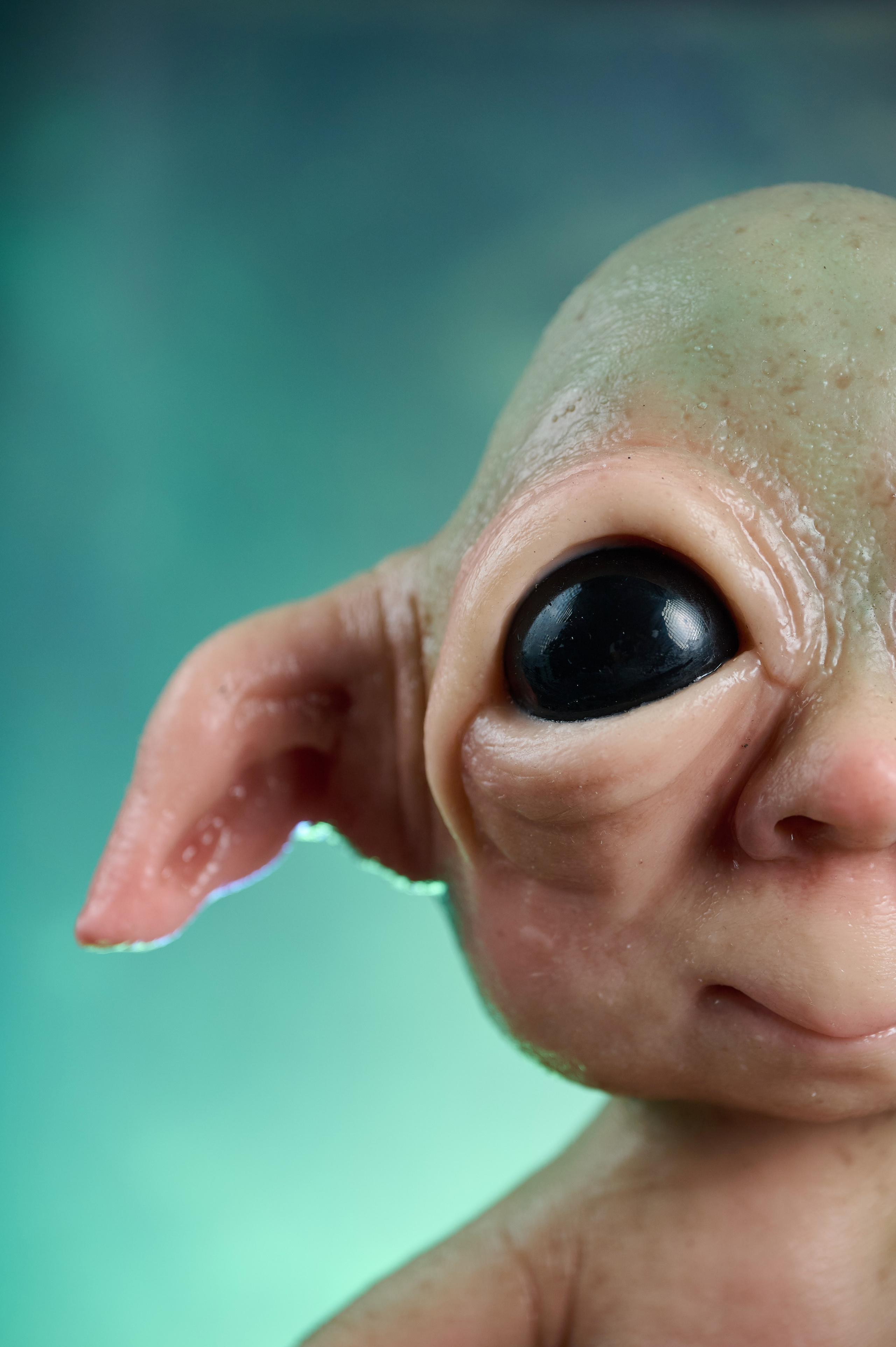 Вторжение инопланетян. Фотограф Опыт Качество Скорость Горный Алтай Барнаул