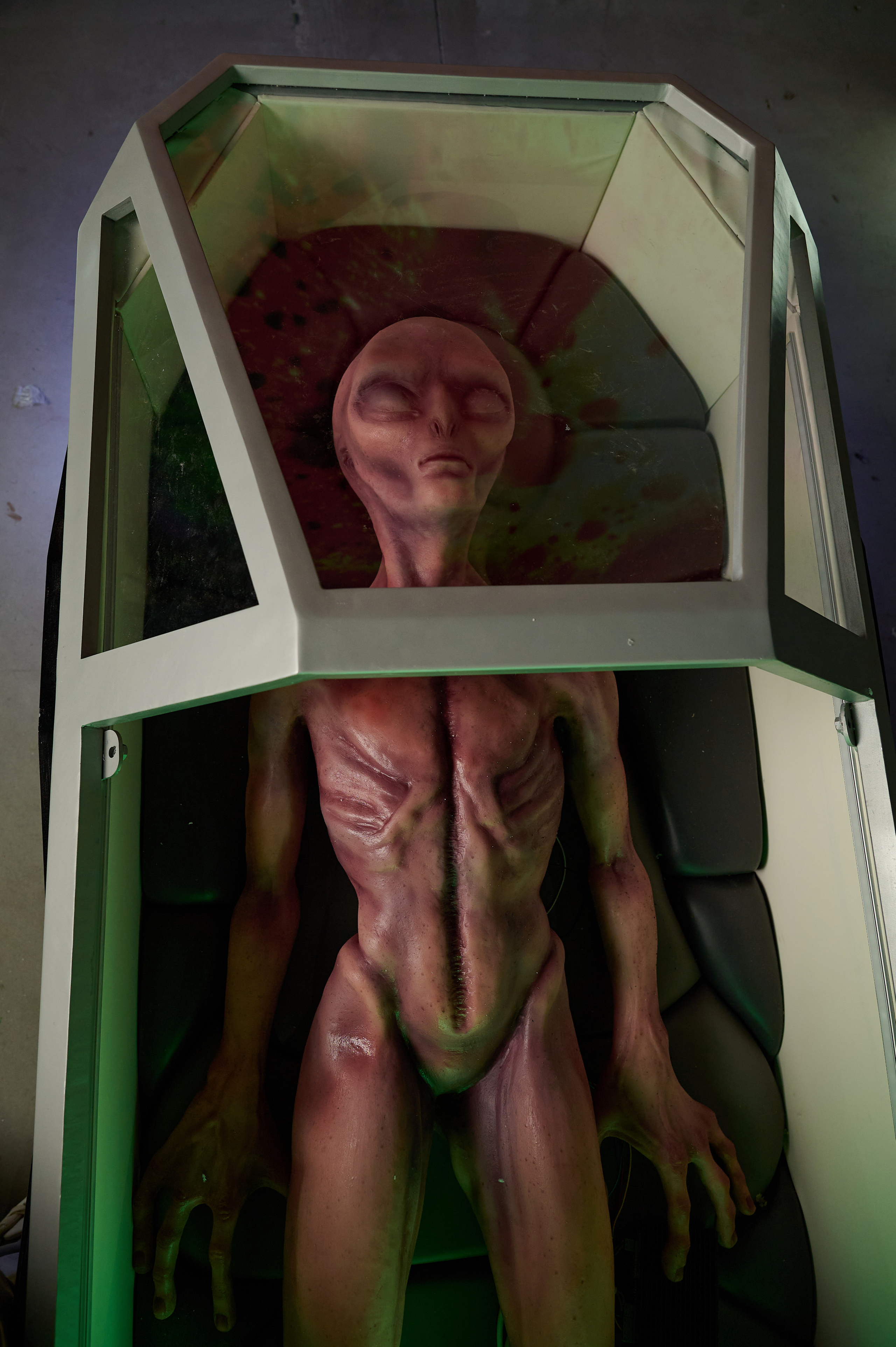 Вторжение инопланетян. Фотограф Опыт Качество Скорость Горный Алтай Барнаул