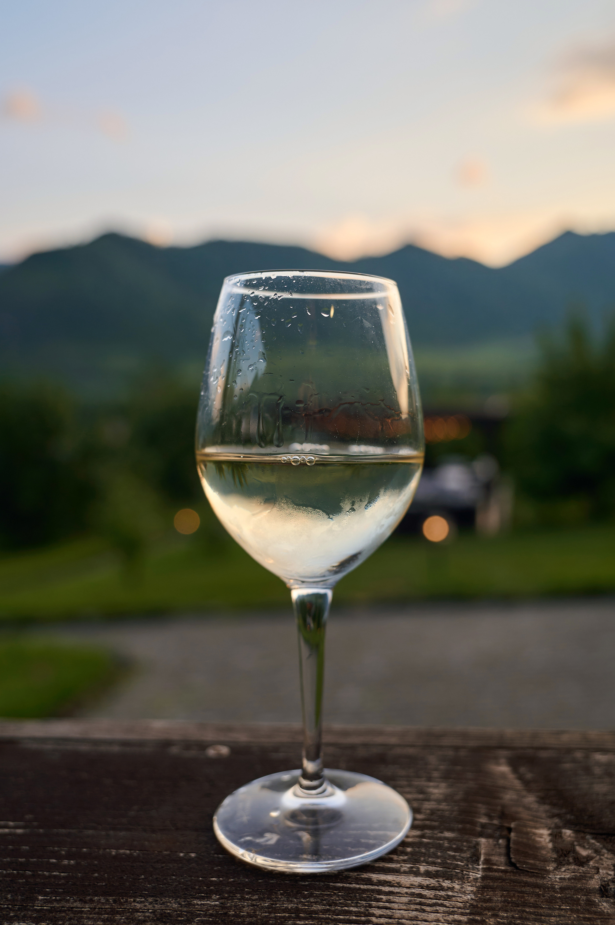 Altay Chalet винный вечер. Фотограф Опыт Качество Скорость Горный Алтай Барнаул