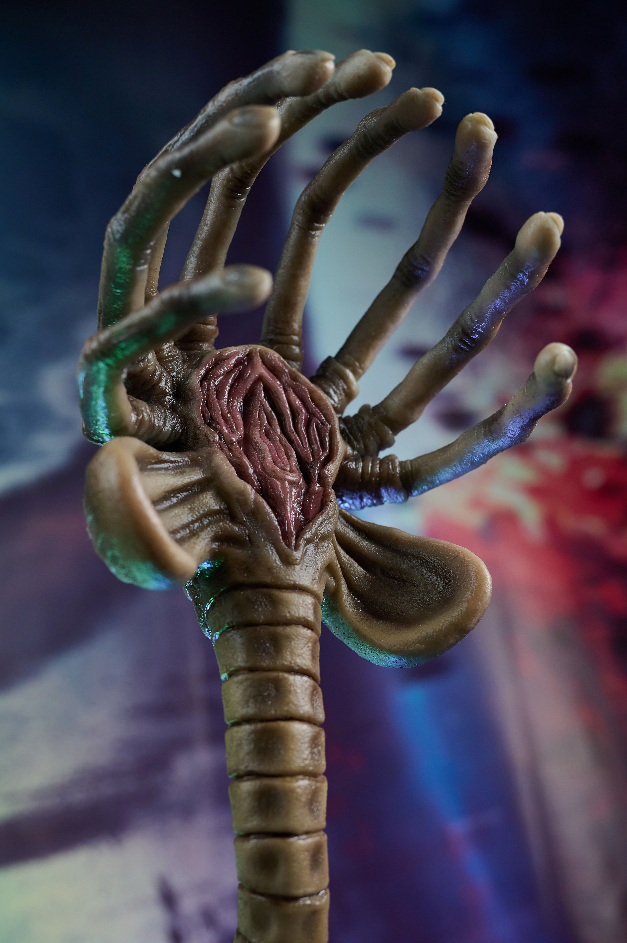 Вторжение инопланетян. Фотограф Опыт Качество Скорость Горный Алтай Барнаул