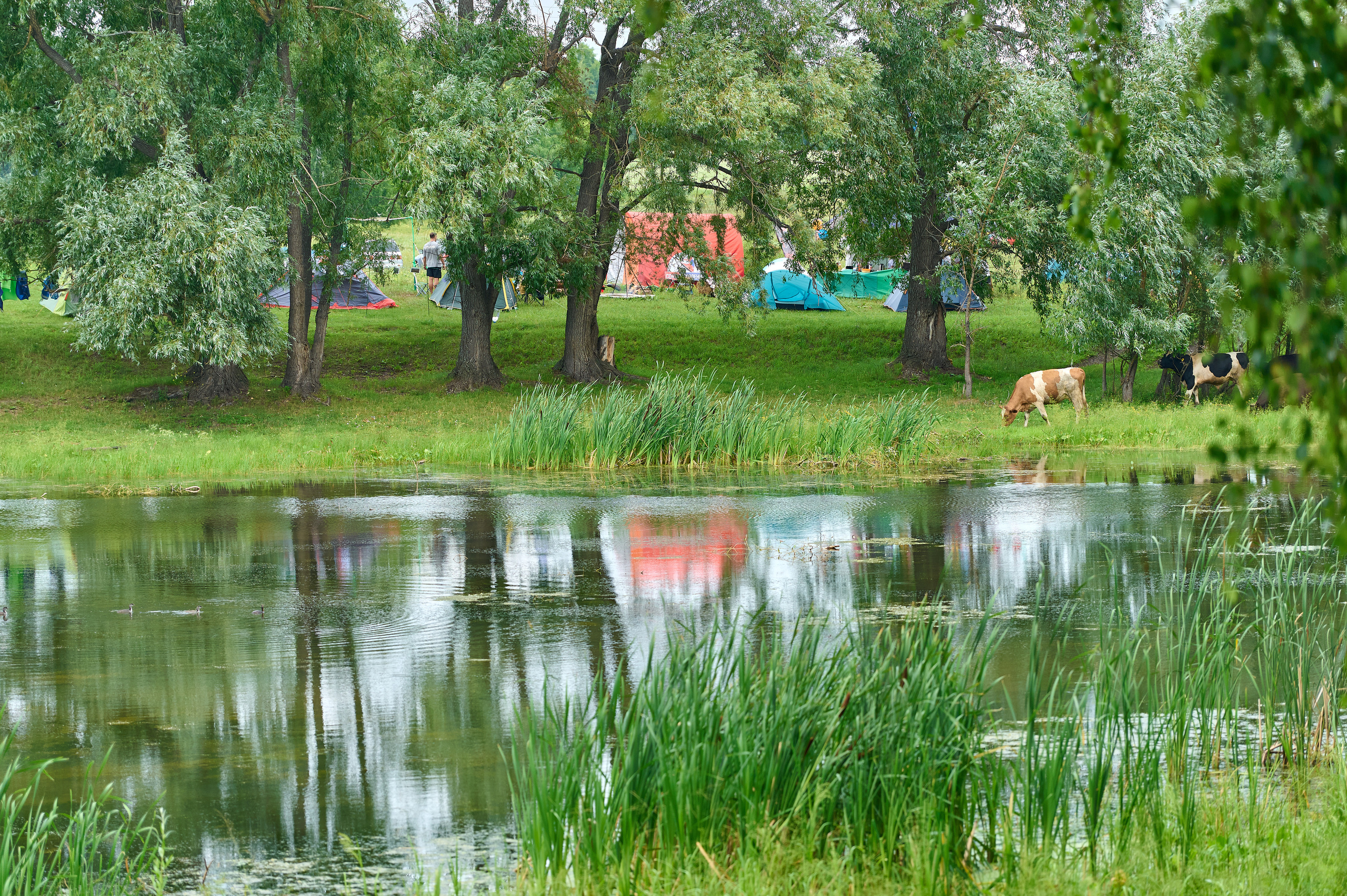 Стройотряды. Первый слёт ветеранов. Фотограф Опыт Качество Скорость Горный Алтай Барнаул