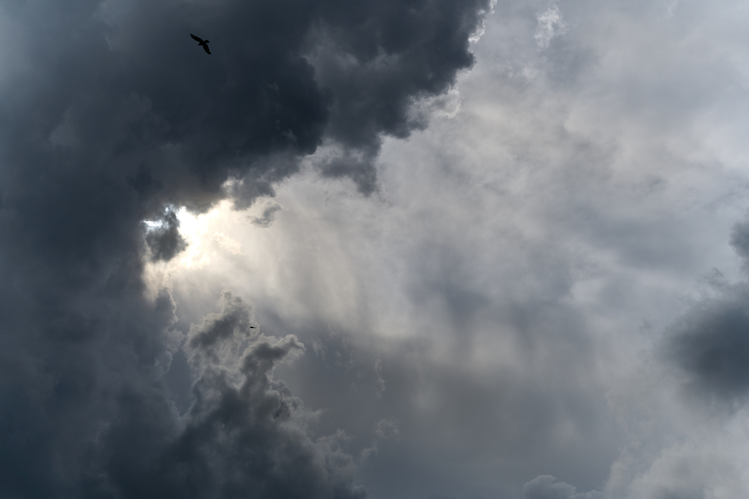 Стройотряды. Первый слёт ветеранов. Фотограф Опыт Качество Скорость Горный Алтай Барнаул