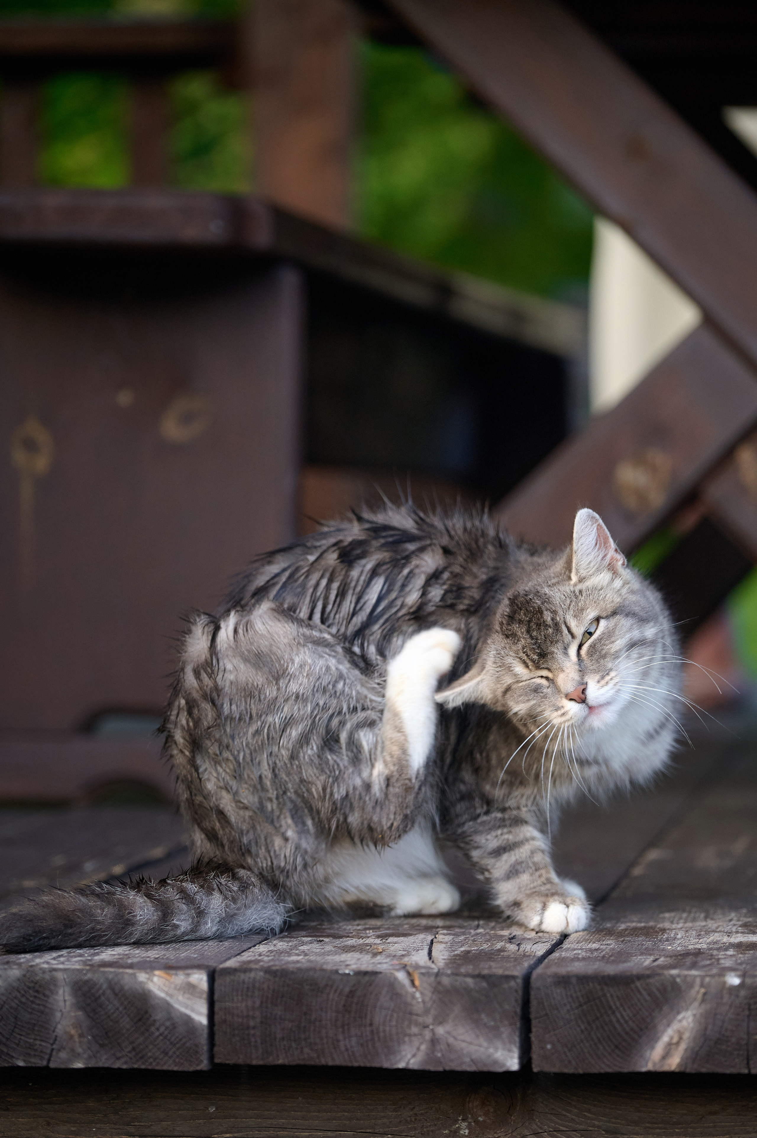 Altay Chalet винный вечер. Фотограф Опыт Качество Скорость Горный Алтай Барнаул