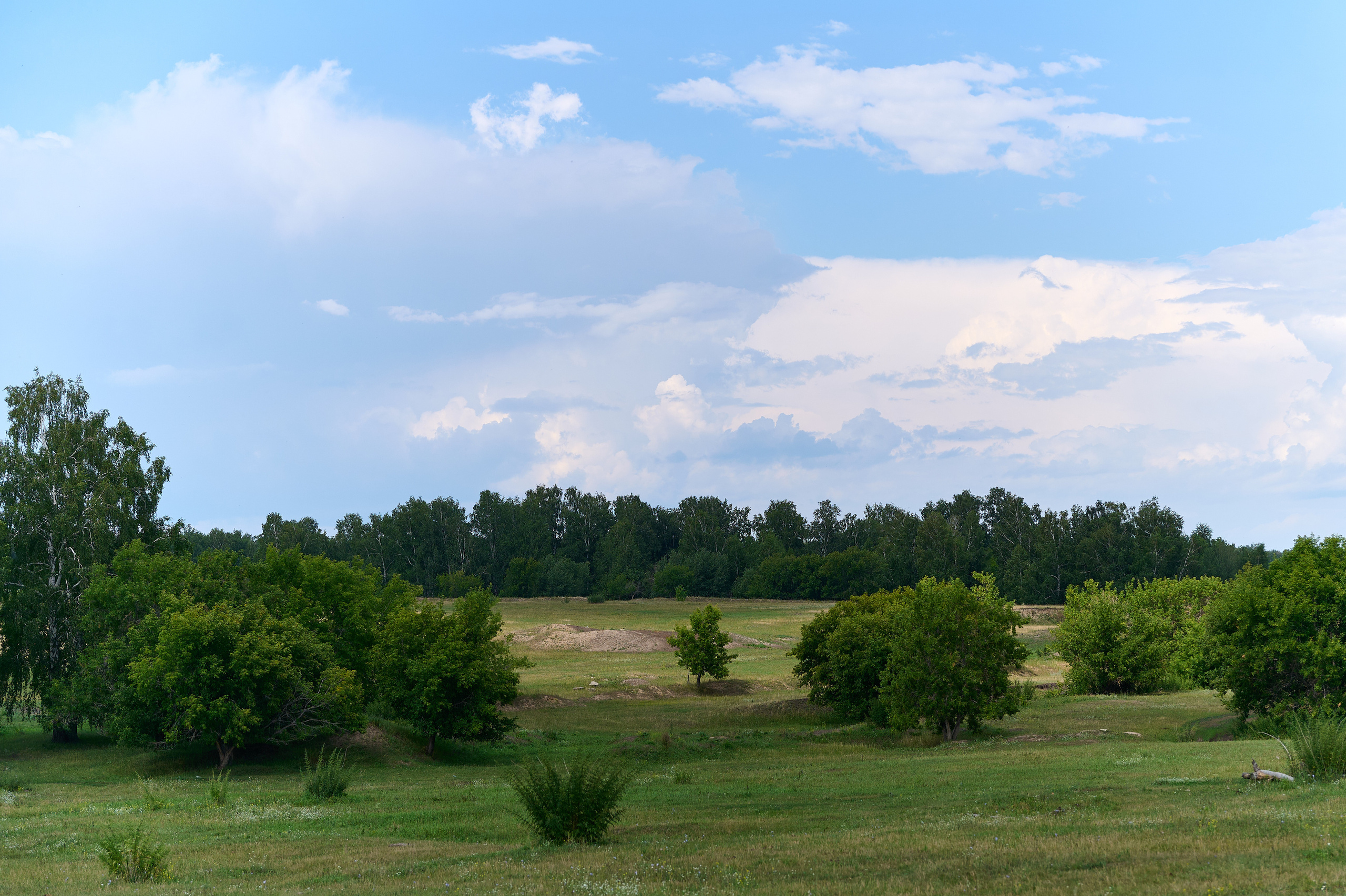 Стройотряды. Первый слёт ветеранов. Фотограф Опыт Качество Скорость Горный Алтай Барнаул
