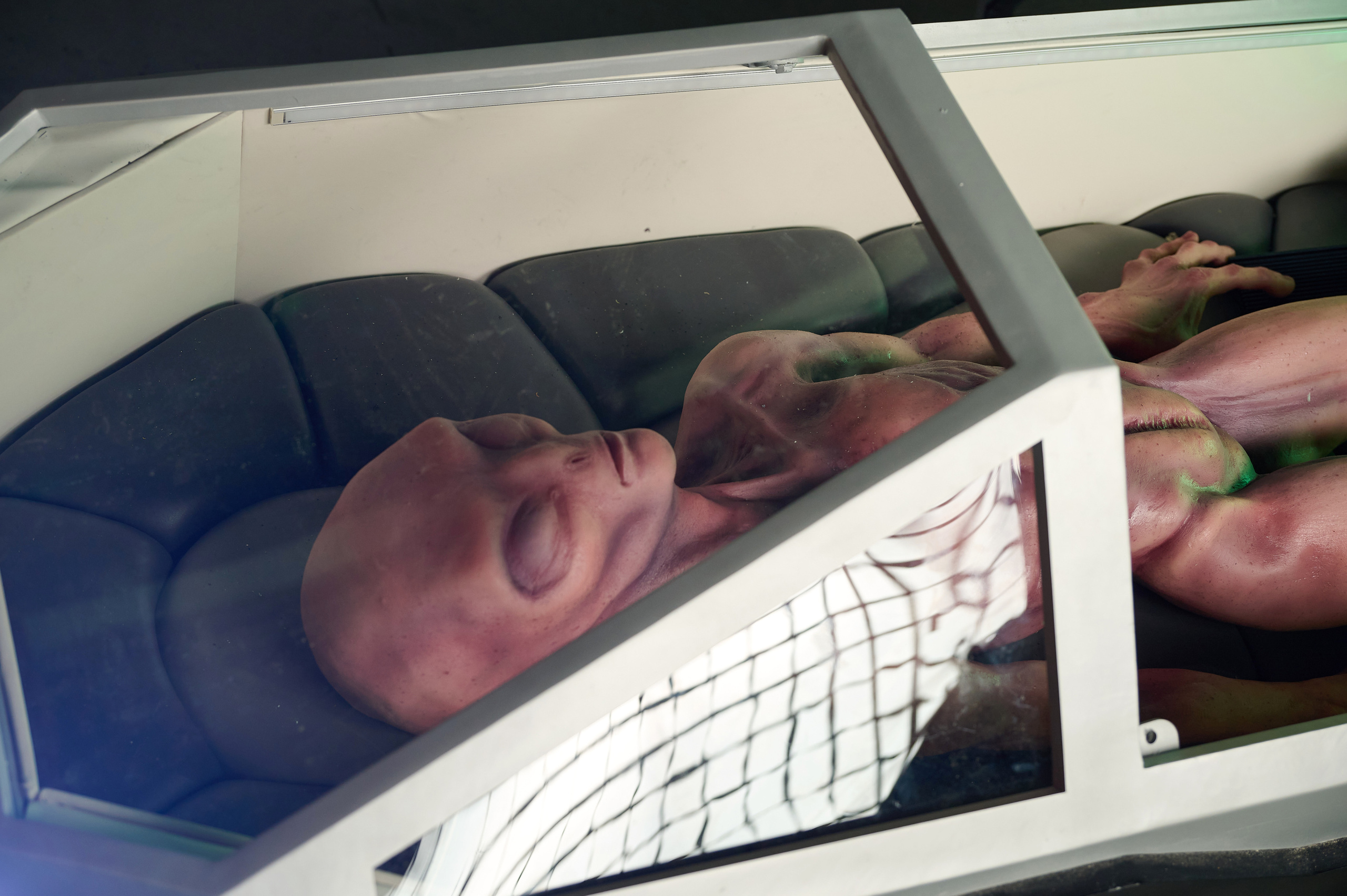 Вторжение инопланетян. Фотограф Опыт Качество Скорость Горный Алтай Барнаул