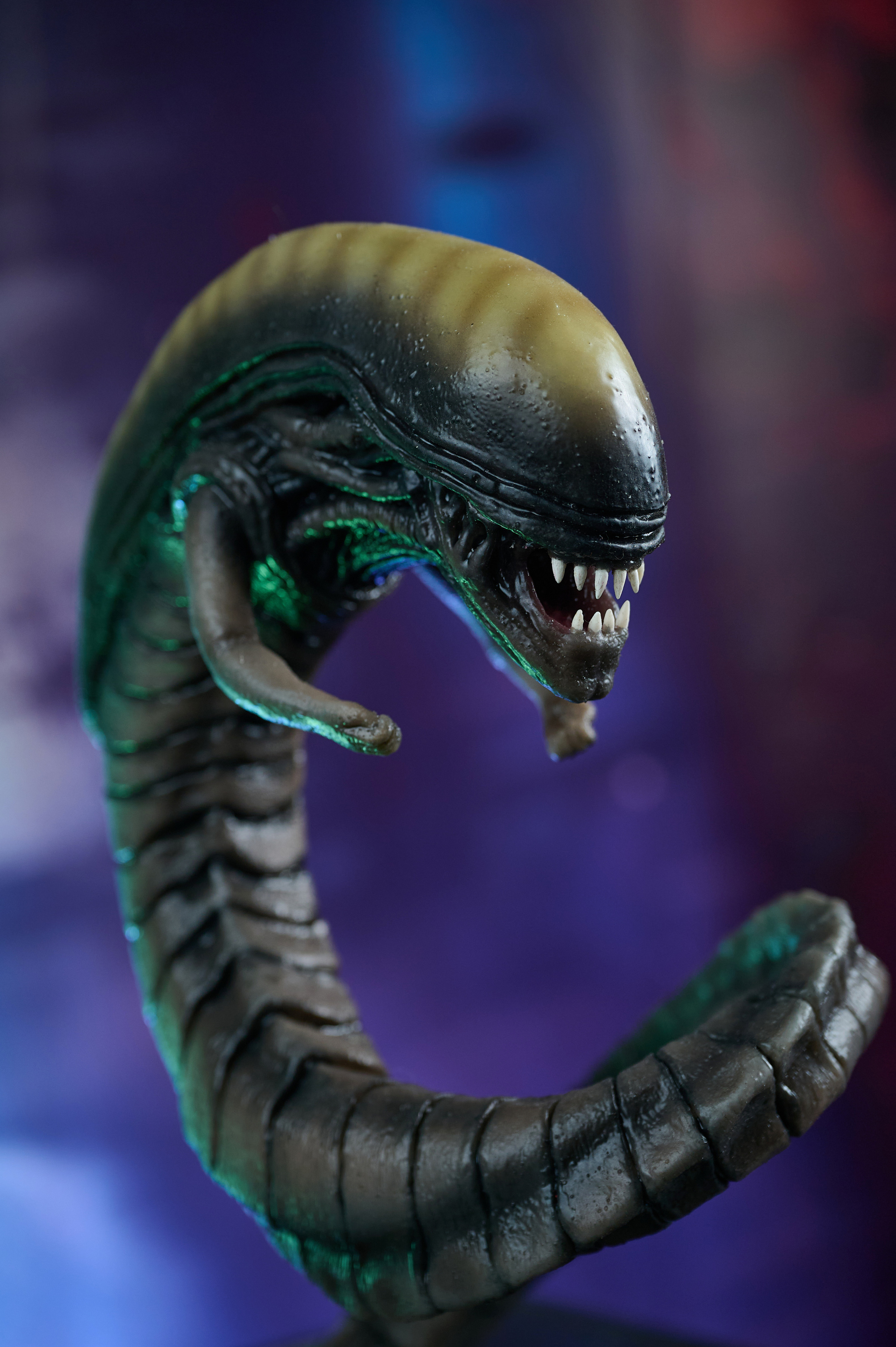 Вторжение инопланетян. Фотограф Опыт Качество Скорость Горный Алтай Барнаул