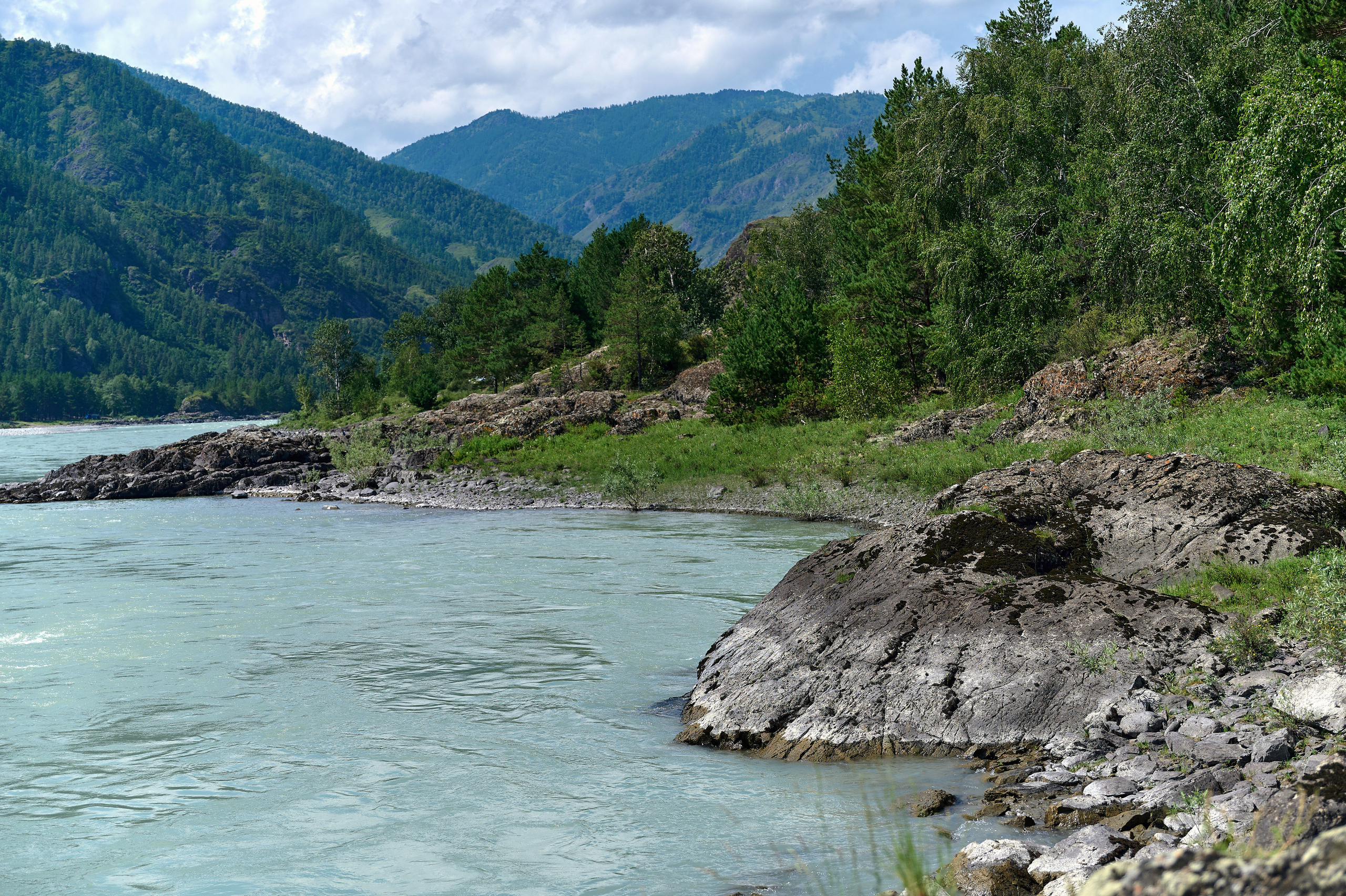 ДРПЗ 10 лет. Фотограф Опыт Качество Скорость Горный Алтай Барнаул
