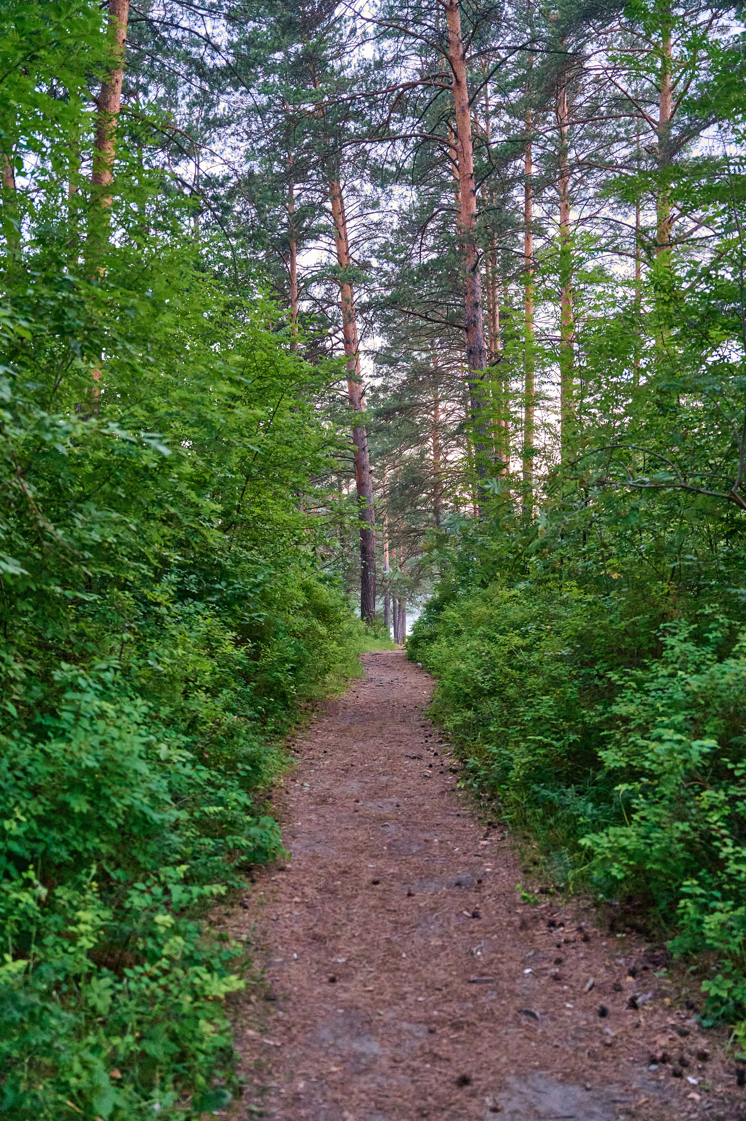 Пейзажный фотограф в Горном Алтае: съёмки природы и гор. Фотограф Опыт Качество Скорость Горный Алтай Барнаул