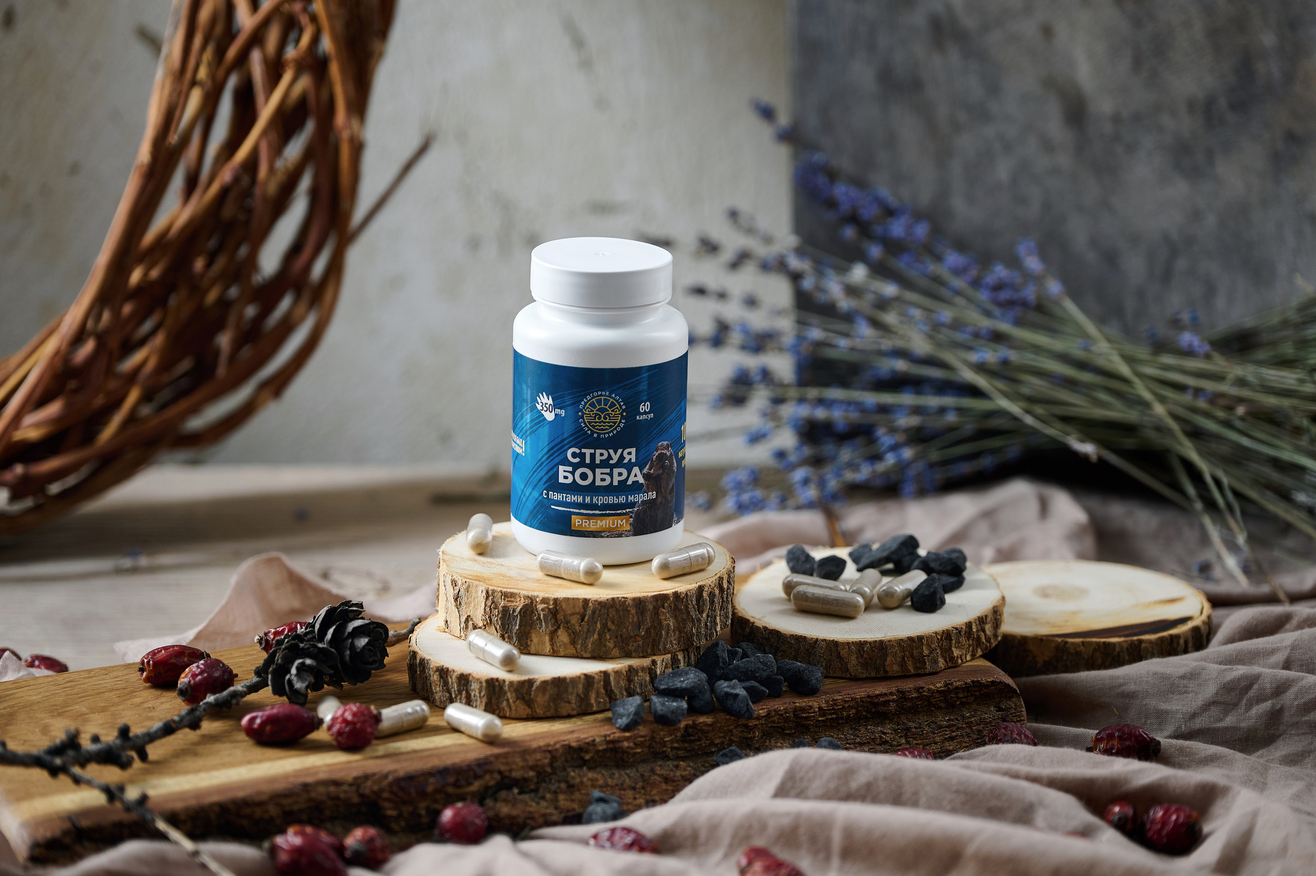 Предгорье Алтая. Фотограф Опыт Качество Скорость Горный Алтай Барнаул