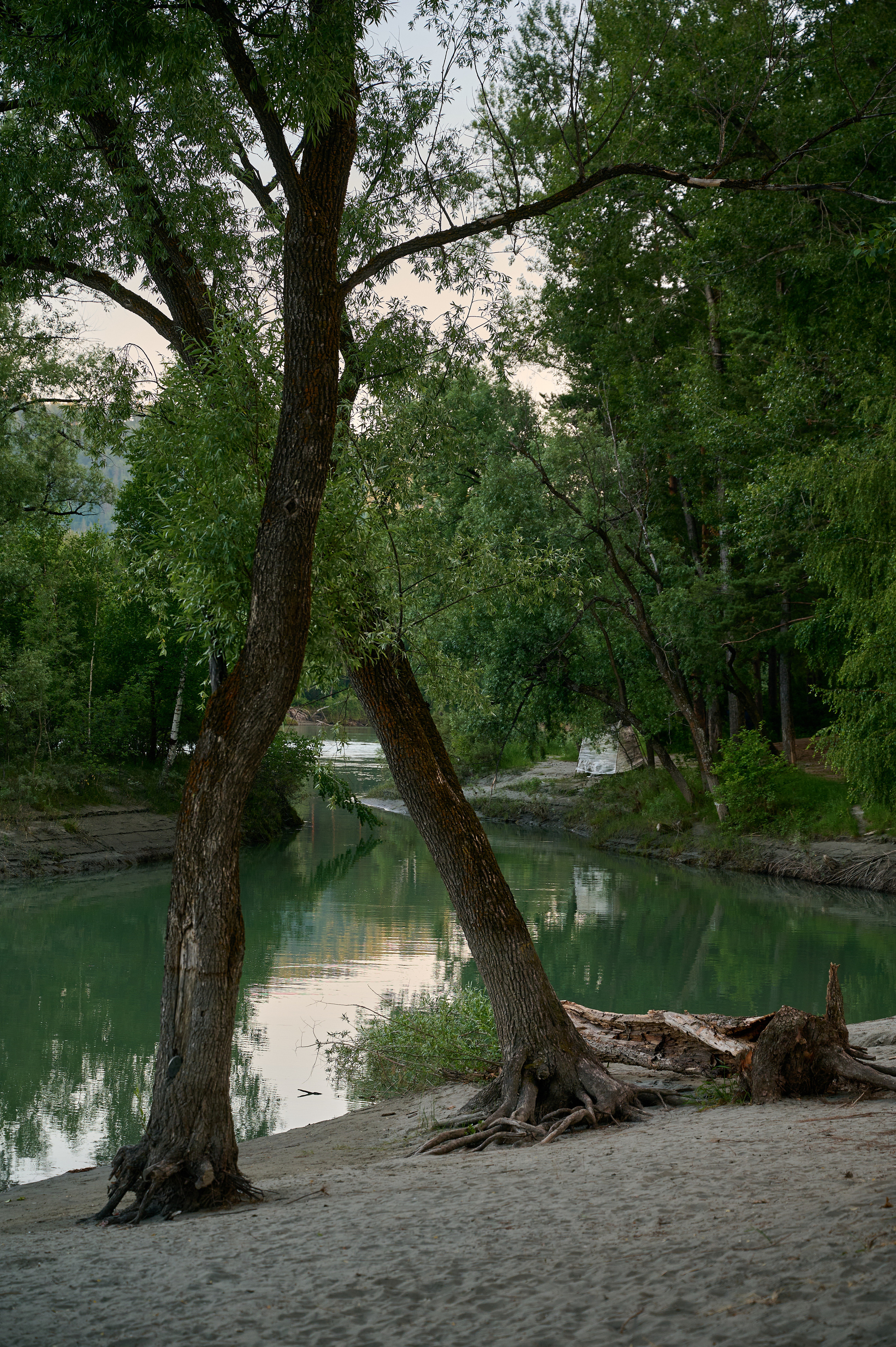 Пейзажный фотограф в Горном Алтае: съёмки природы и гор. Фотограф Опыт Качество Скорость Горный Алтай Барнаул