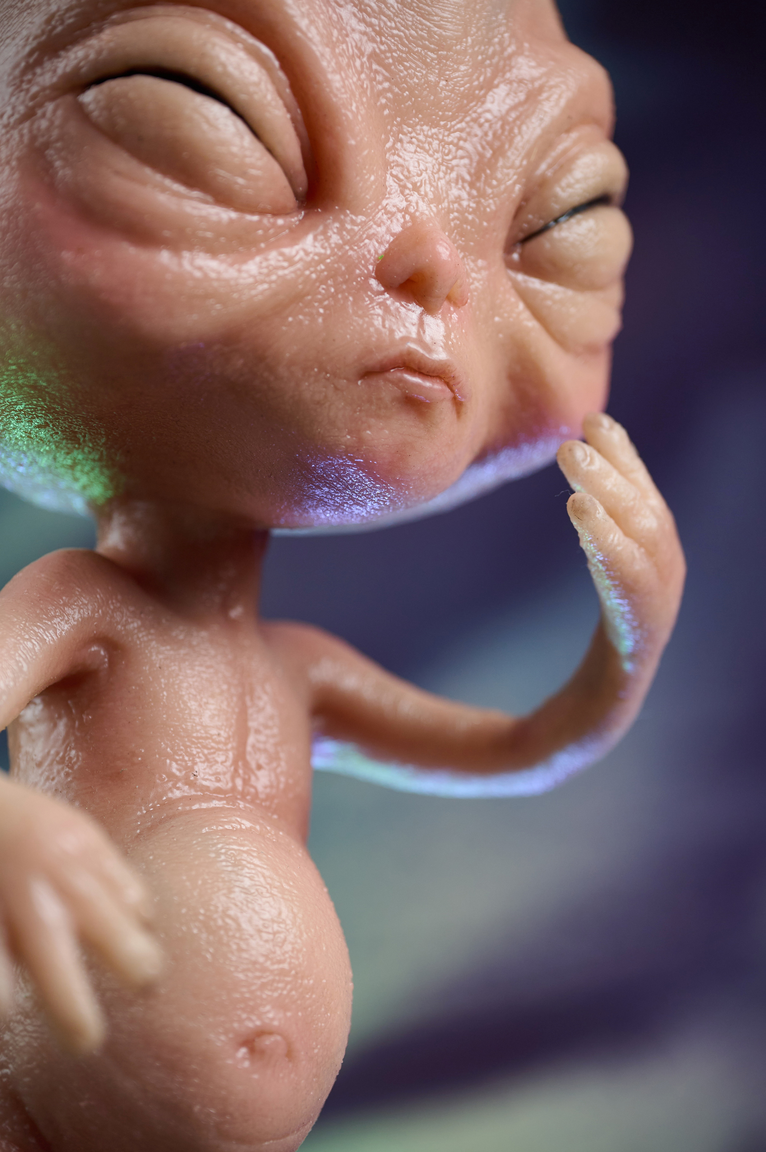 Вторжение инопланетян. Фотограф Опыт Качество Скорость Горный Алтай Барнаул