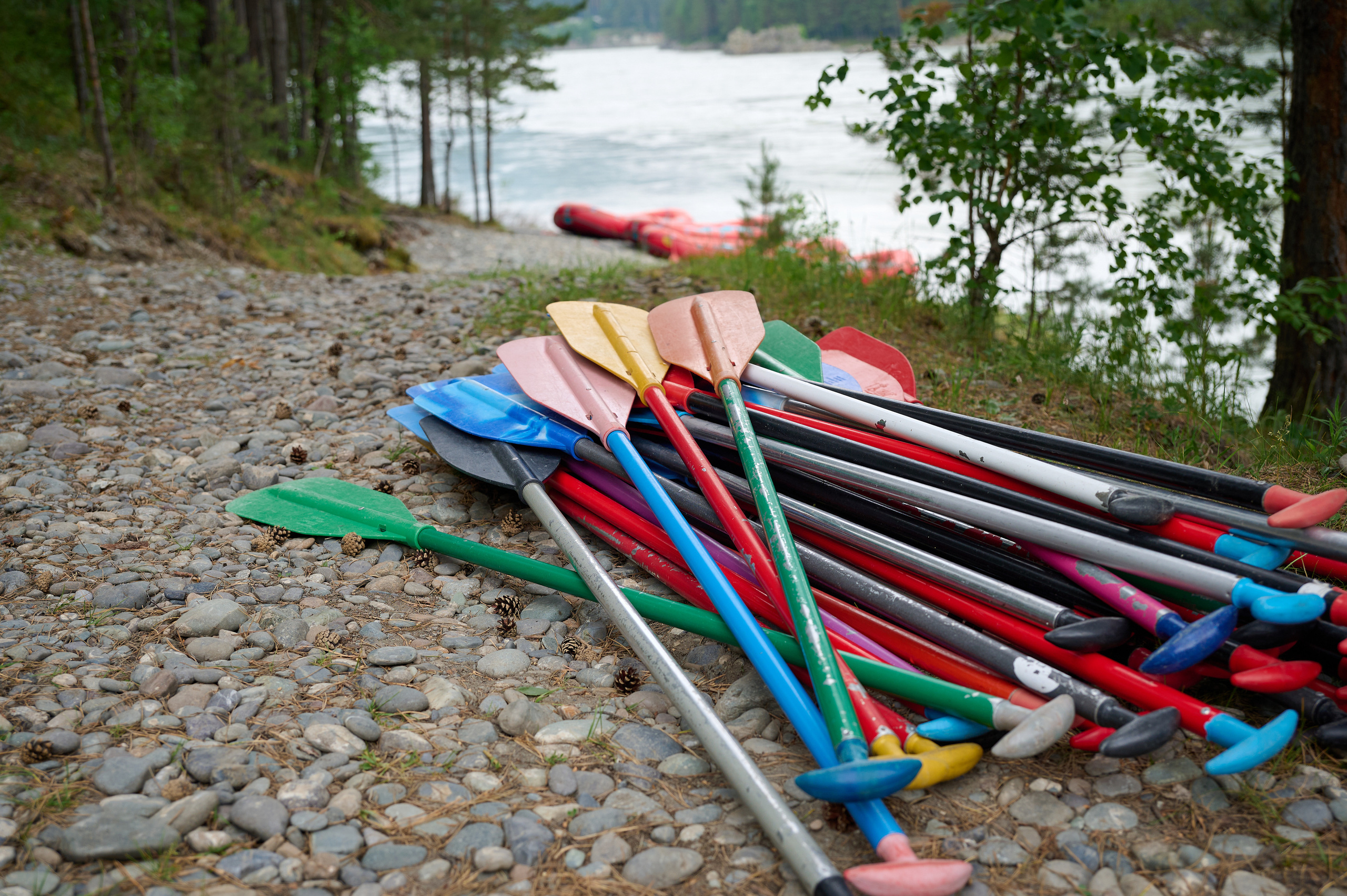 Мейтан юбилей. Фотограф Опыт Качество Скорость Горный Алтай Барнаул