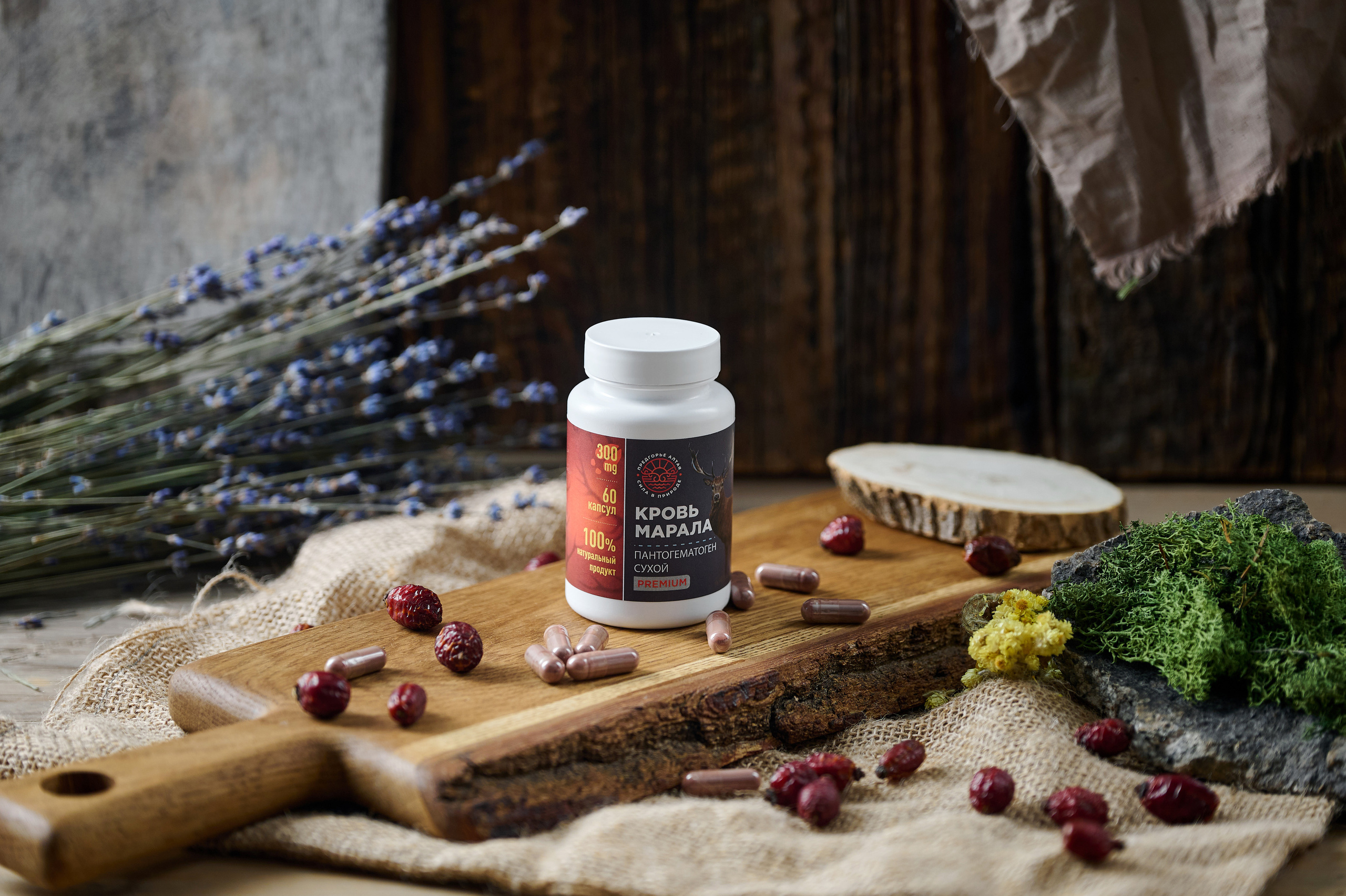 Предгорье Алтая. Фотограф Опыт Качество Скорость Горный Алтай Барнаул