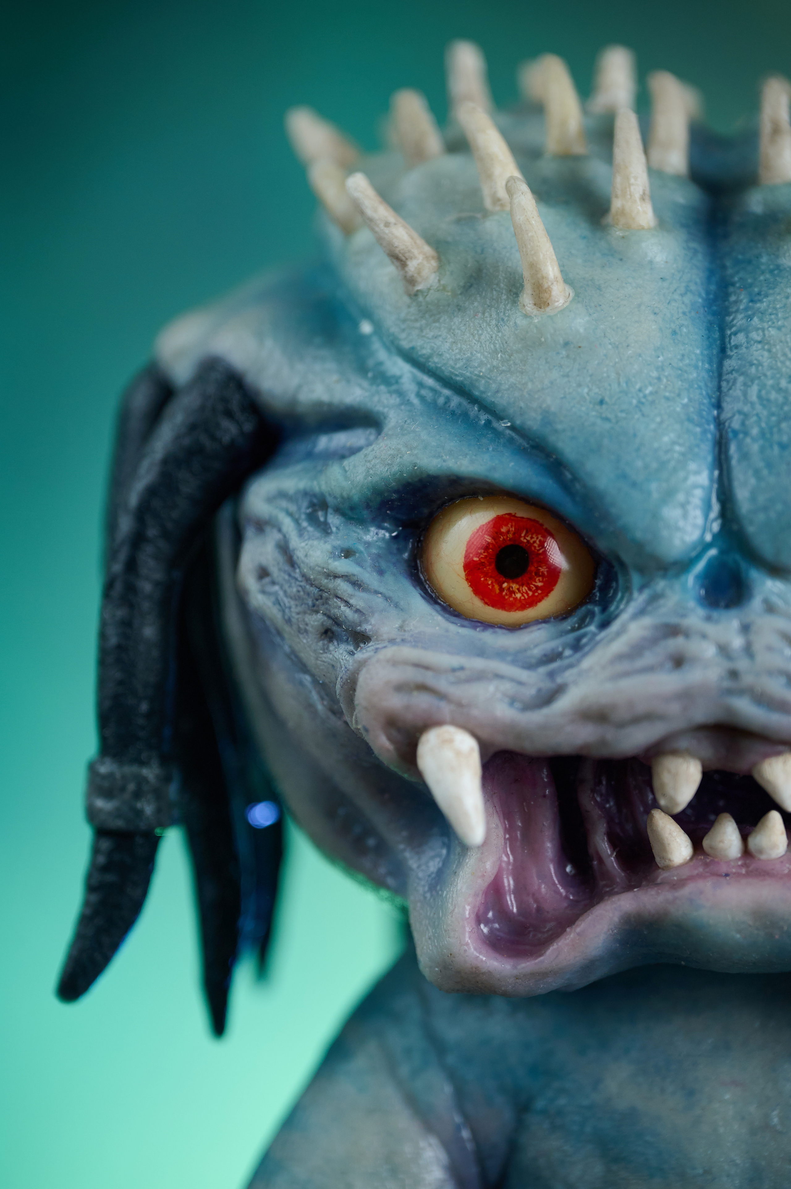 Вторжение инопланетян. Фотограф Опыт Качество Скорость Горный Алтай Барнаул