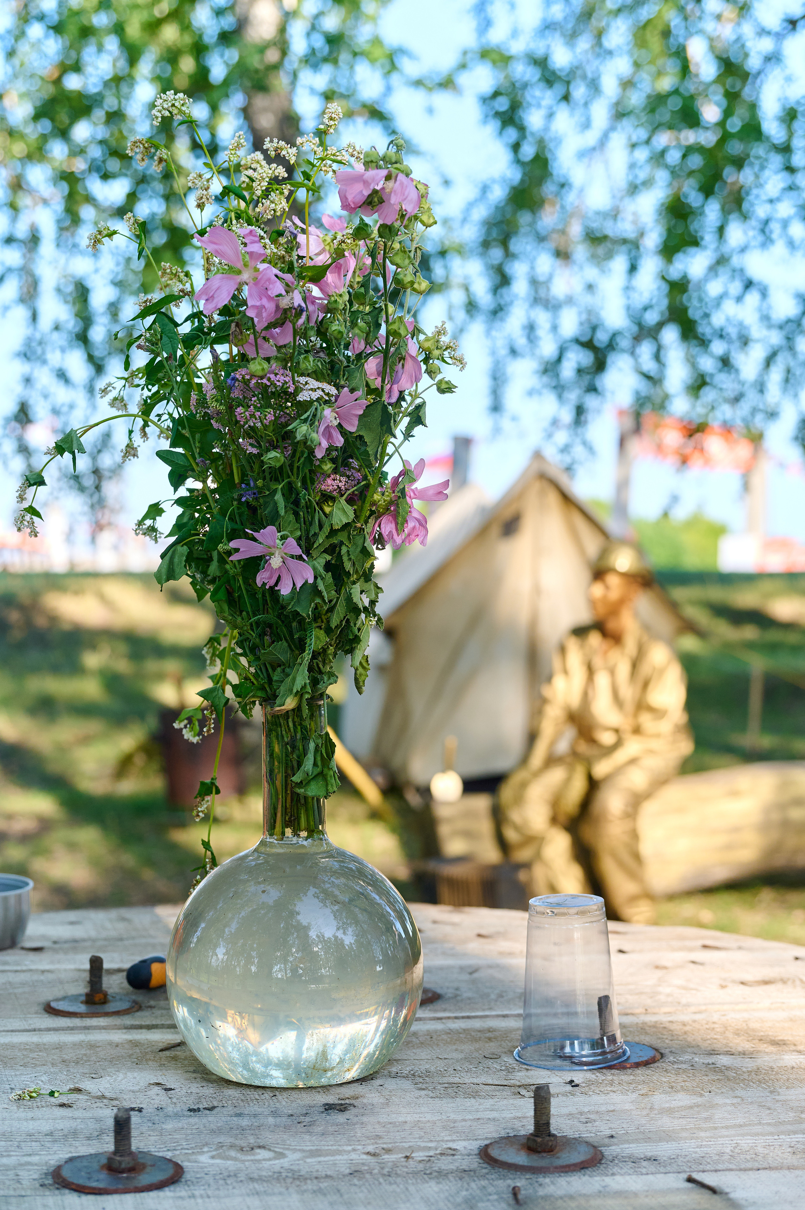 Стройотряды. Первый слёт ветеранов. Фотограф Опыт Качество Скорость Горный Алтай Барнаул