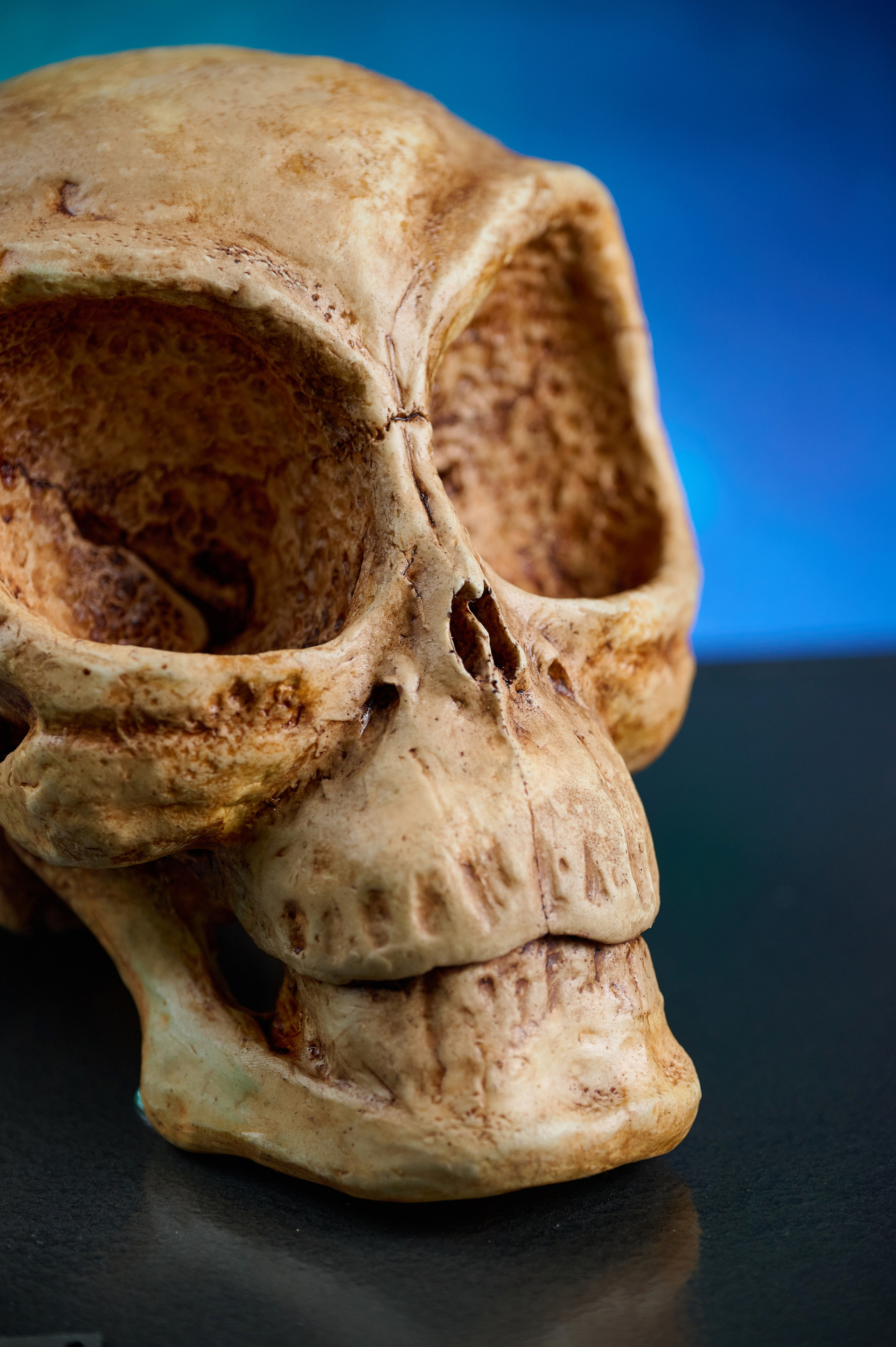 Вторжение инопланетян. Фотограф Опыт Качество Скорость Горный Алтай Барнаул