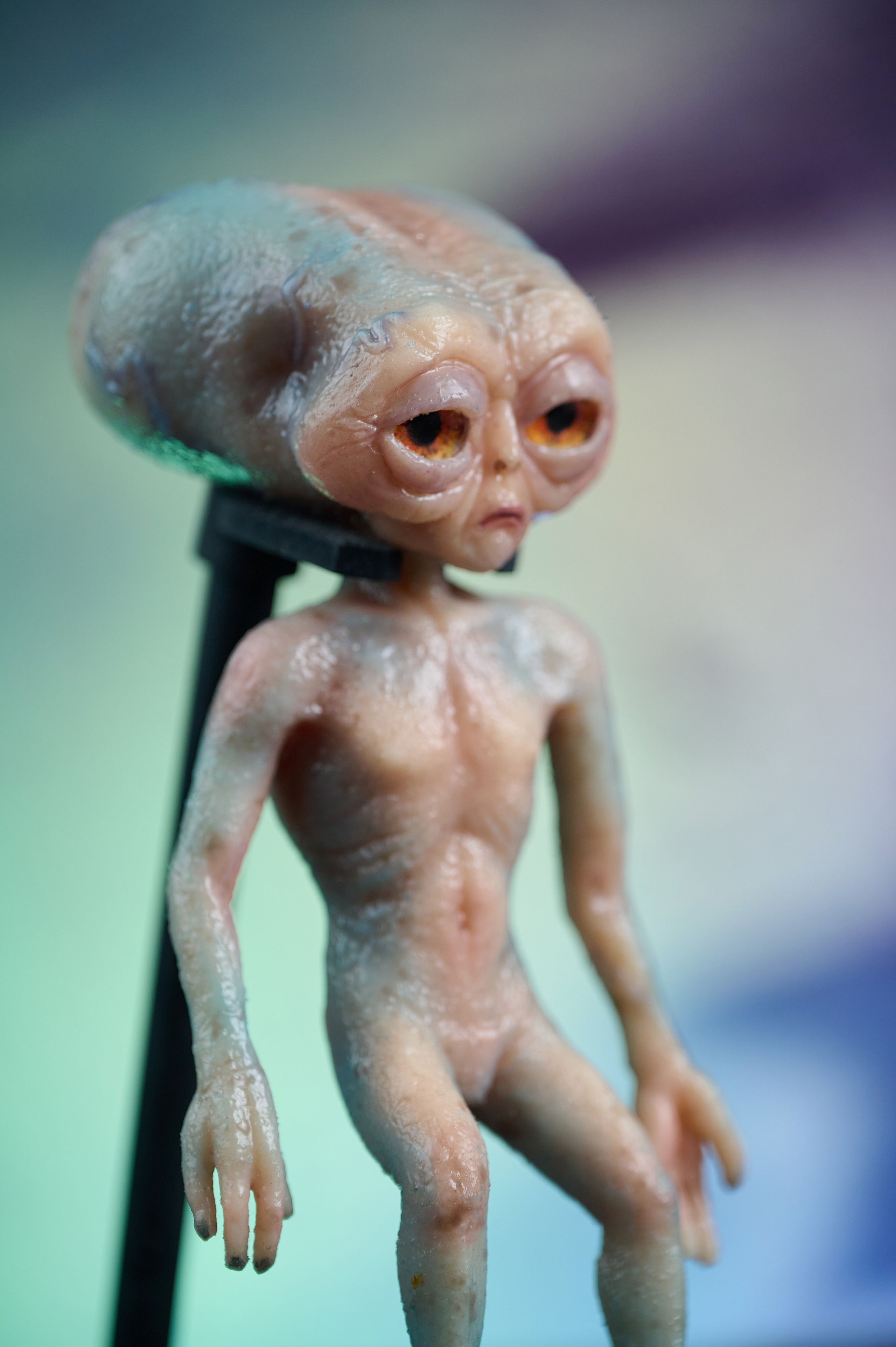 Вторжение инопланетян. Фотограф Опыт Качество Скорость Горный Алтай Барнаул