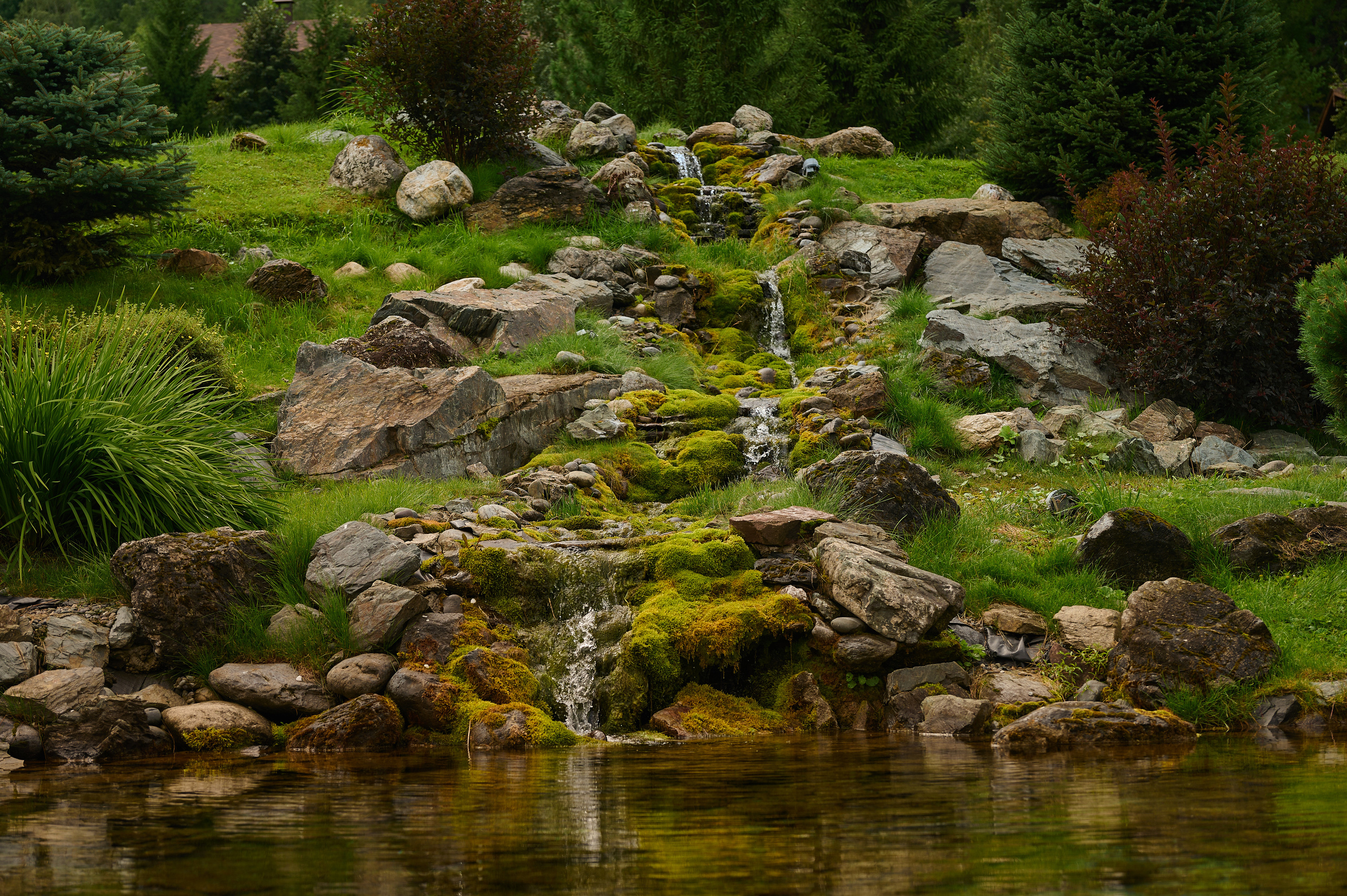 Altay Resort. Фотограф Опыт Качество Скорость Горный Алтай Барнаул