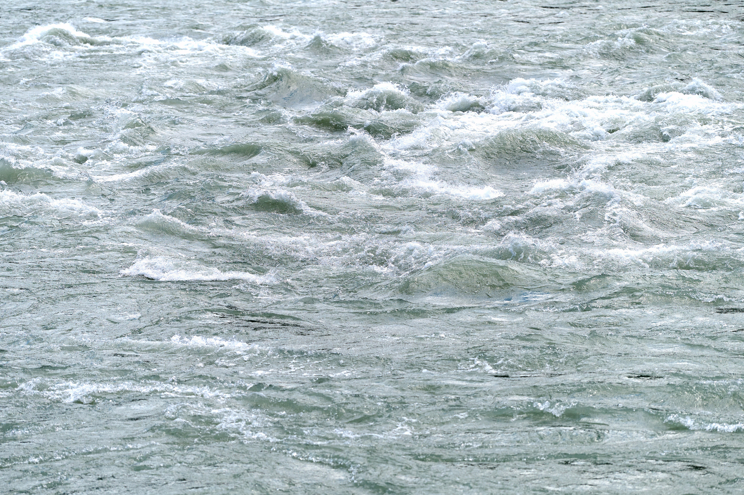 ДРПЗ 10 лет. Фотограф Опыт Качество Скорость Горный Алтай Барнаул