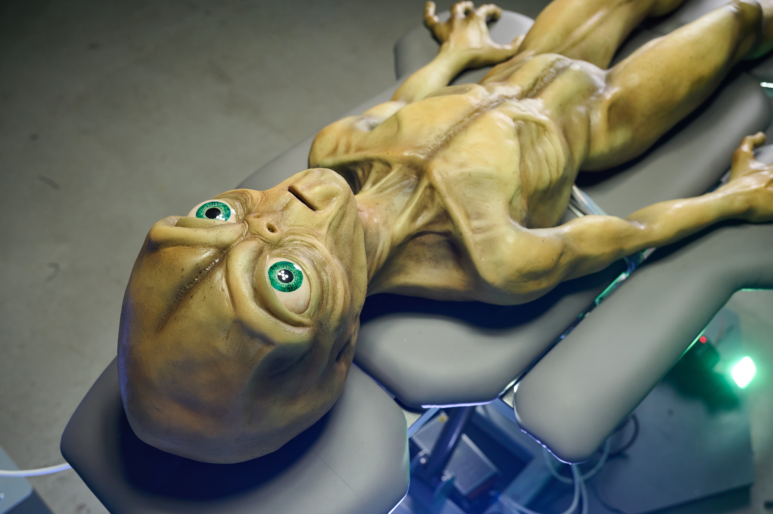 Вторжение инопланетян. Фотограф Опыт Качество Скорость Горный Алтай Барнаул