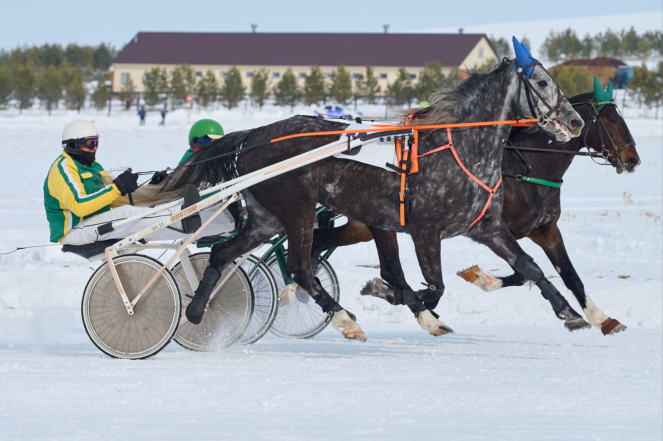 Сибирская масленица. Фотограф Опыт Качество Скорость Горный Алтай Барнаул