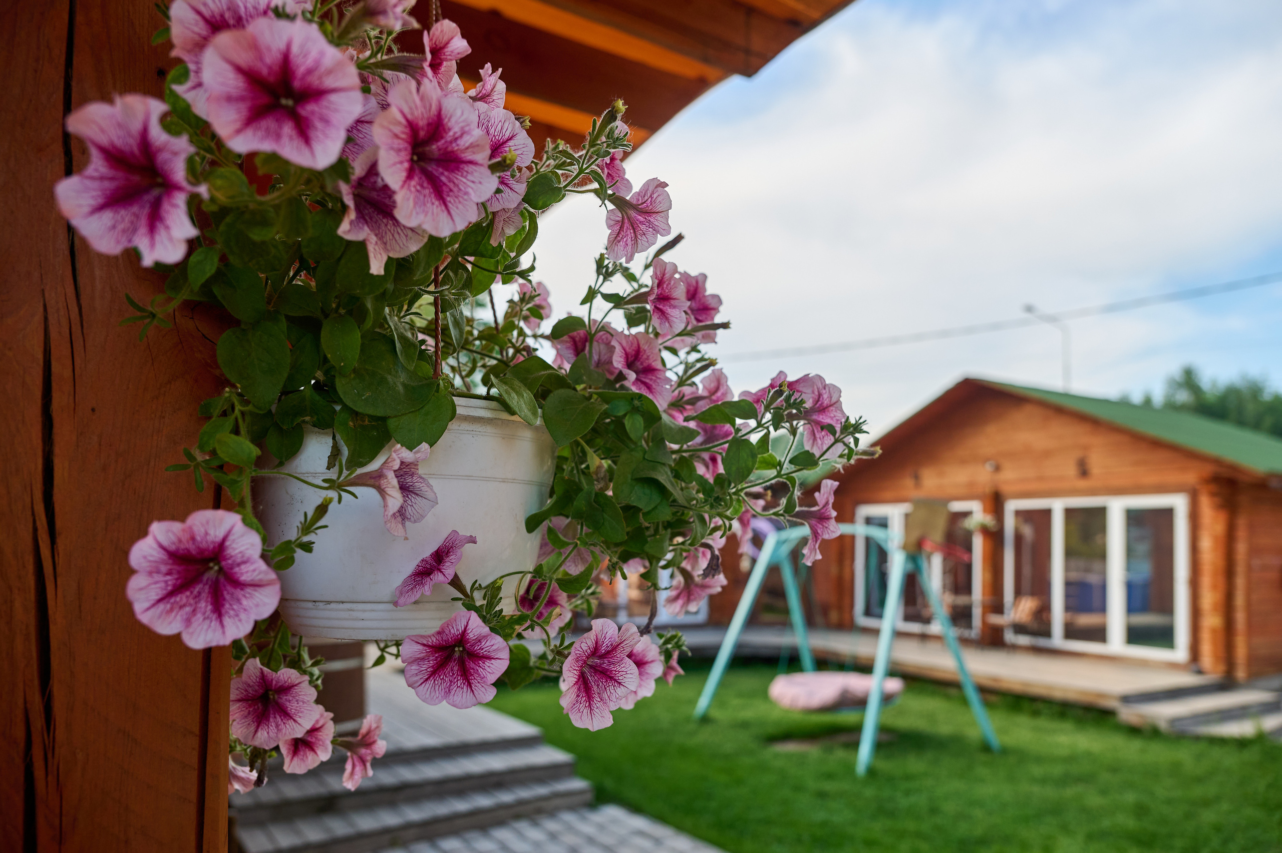 База отдыха 7 Небо. Фотограф Опыт Качество Скорость Горный Алтай Барнаул