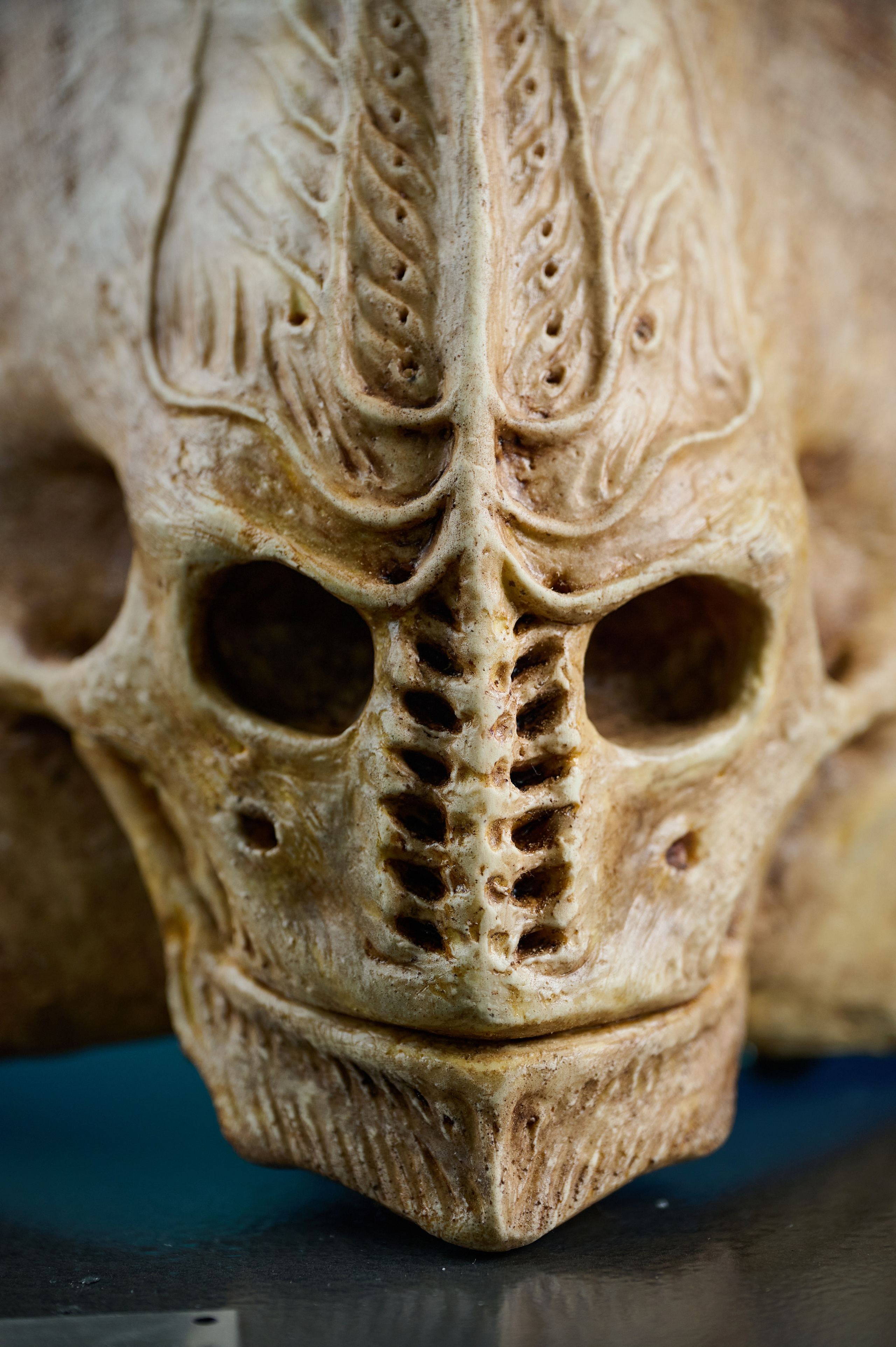 Вторжение инопланетян. Фотограф Опыт Качество Скорость Горный Алтай Барнаул