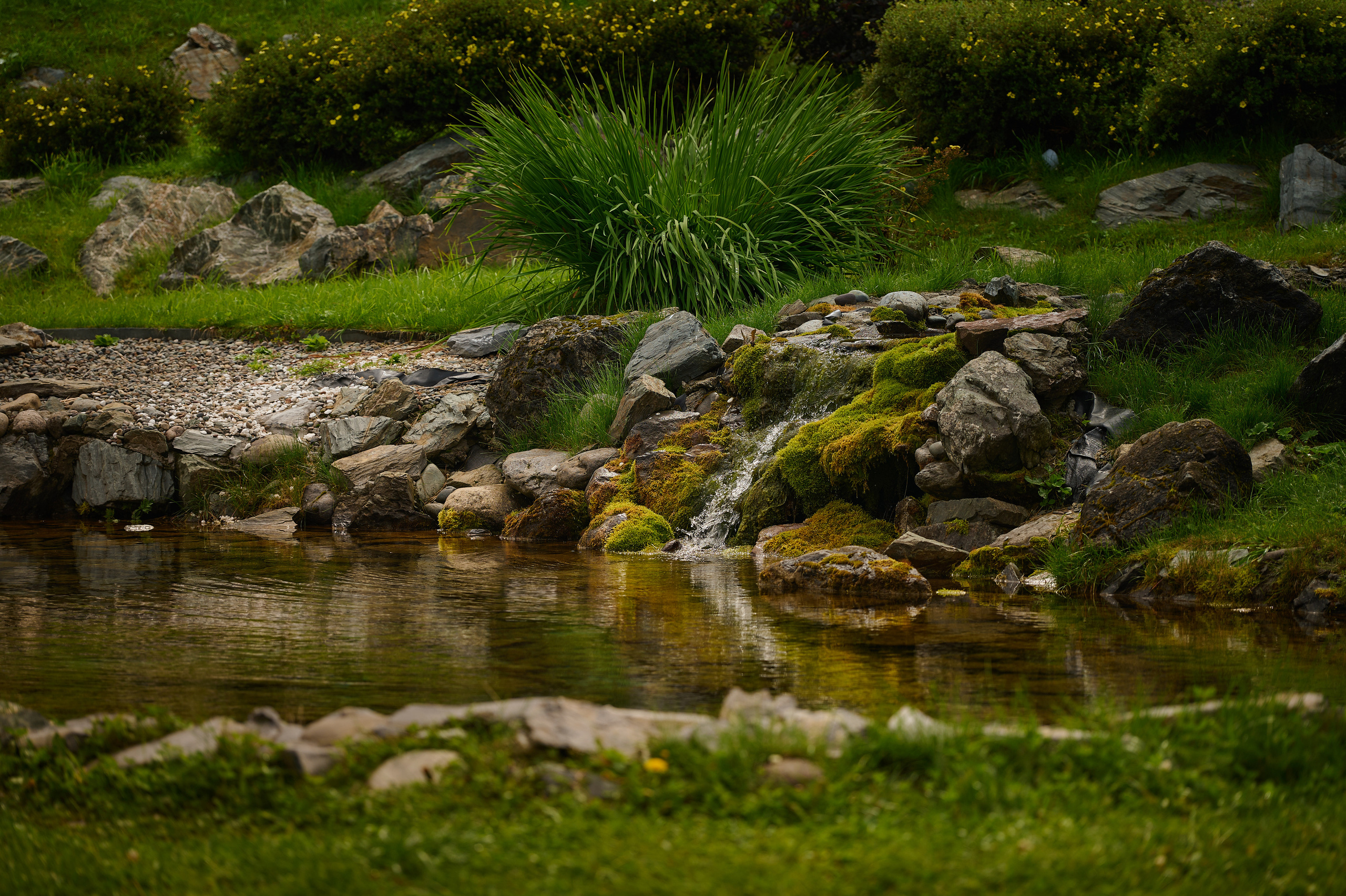 Altay Resort. Фотограф Опыт Качество Скорость Горный Алтай Барнаул