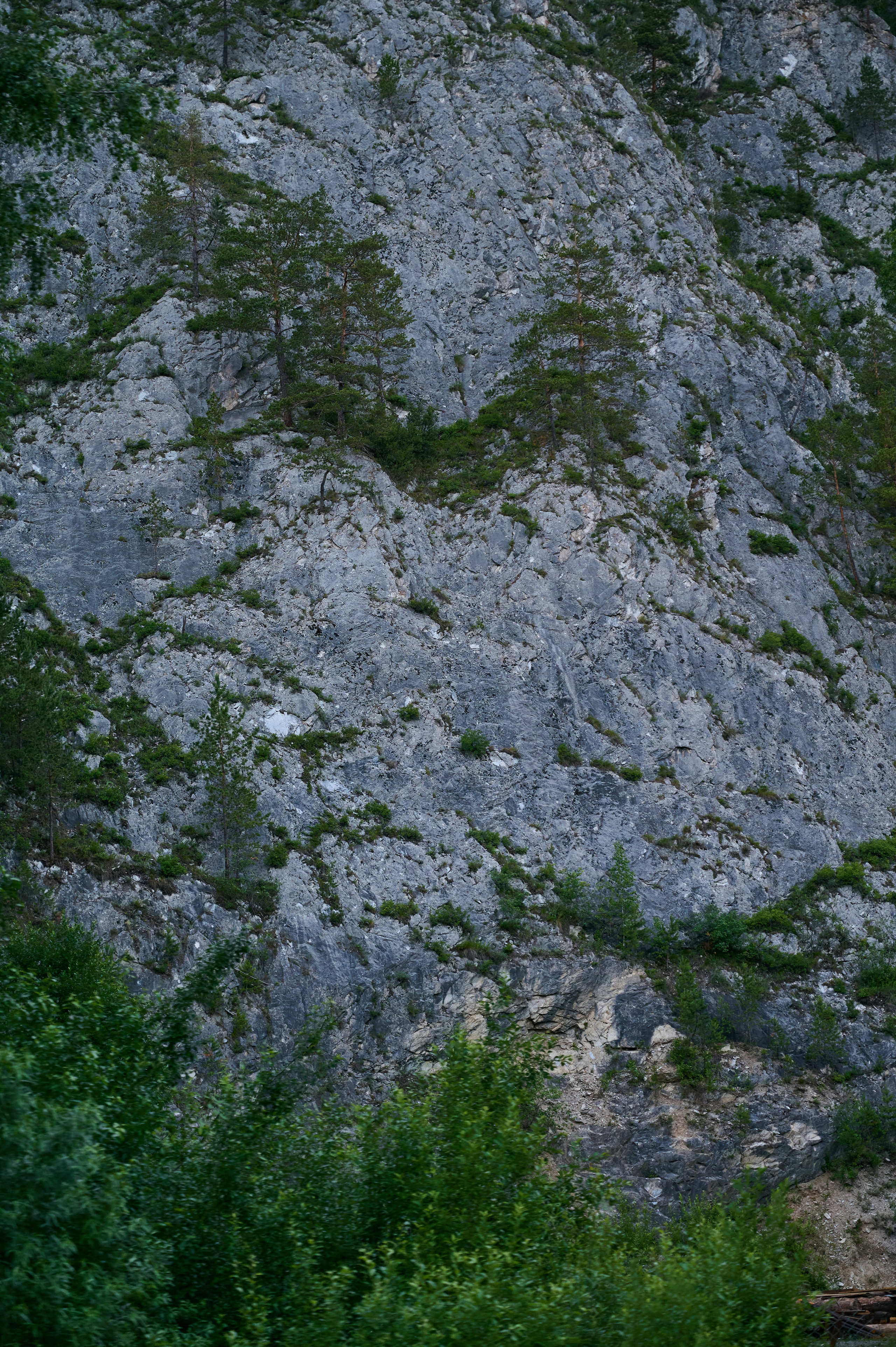 Пейзажный фотограф в Горном Алтае: съёмки природы и гор. Фотограф Опыт Качество Скорость Горный Алтай Барнаул