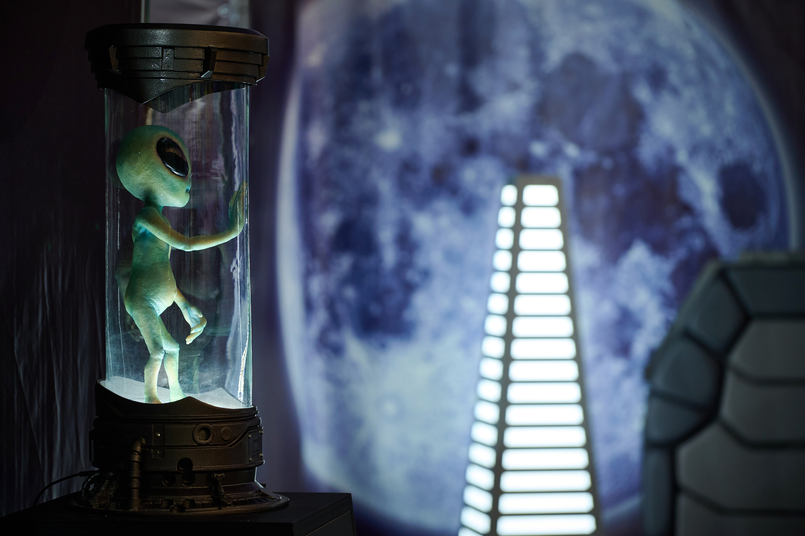 Вторжение инопланетян. Фотограф Опыт Качество Скорость Горный Алтай Барнаул