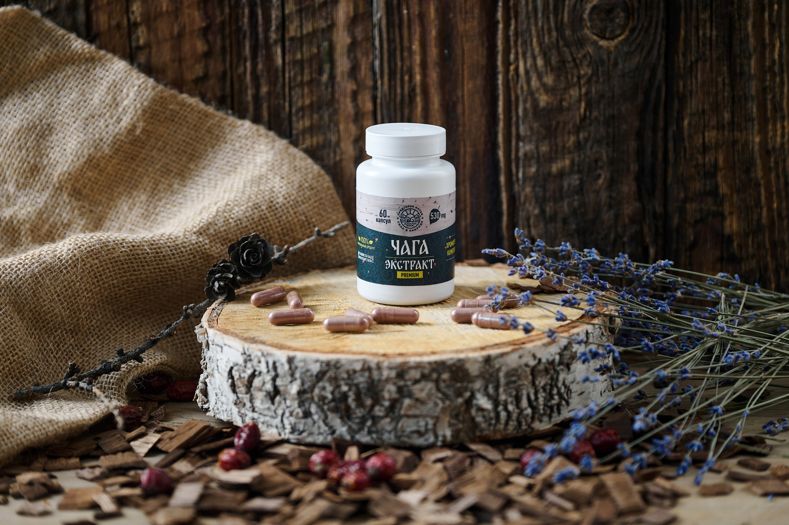 Предгорье Алтая. Фотограф Опыт Качество Скорость Горный Алтай Барнаул