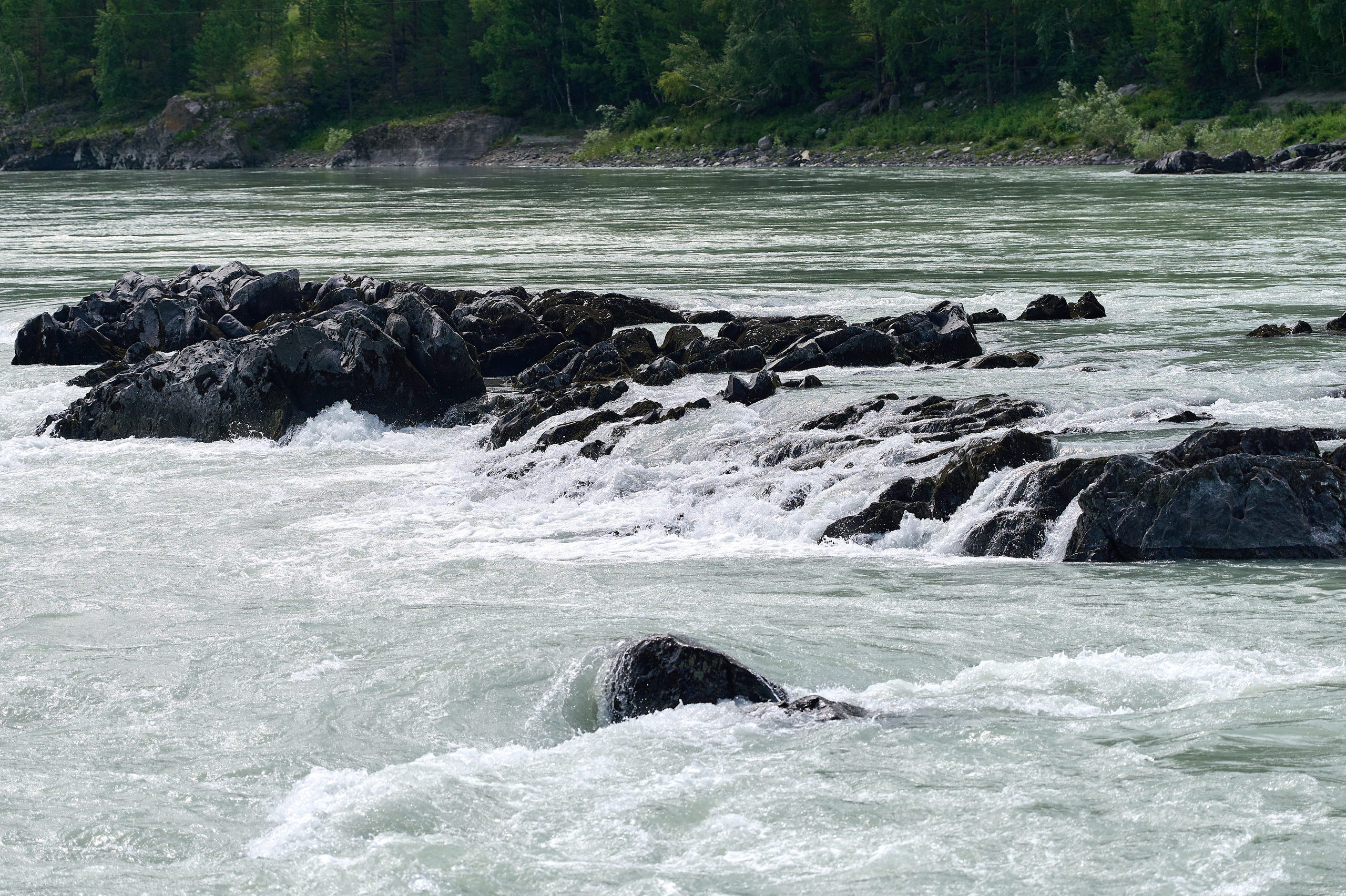 ДРПЗ 10 лет. Фотограф Опыт Качество Скорость Горный Алтай Барнаул