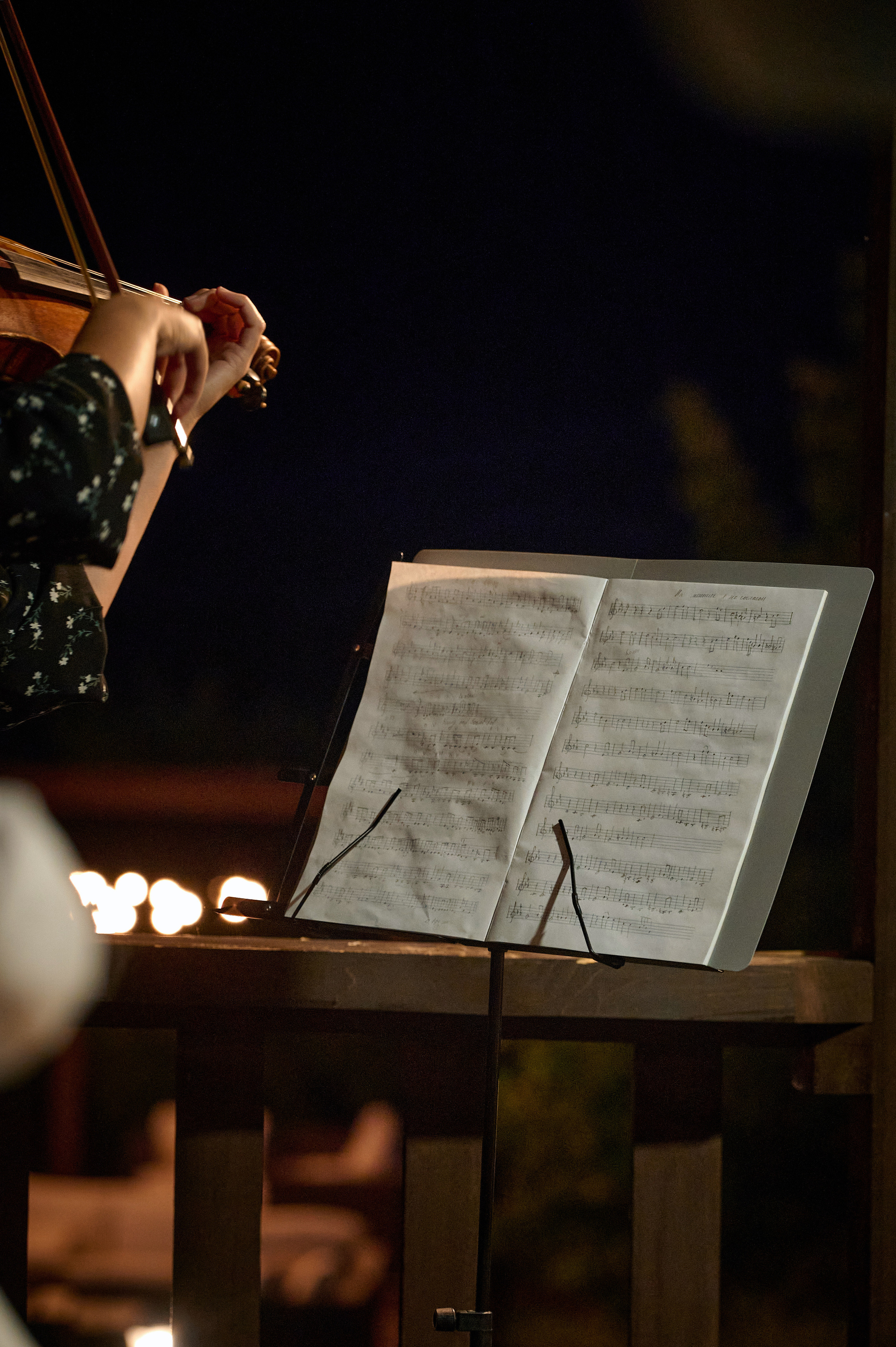 Altay Chalet винный вечер. Фотограф Опыт Качество Скорость Горный Алтай Барнаул