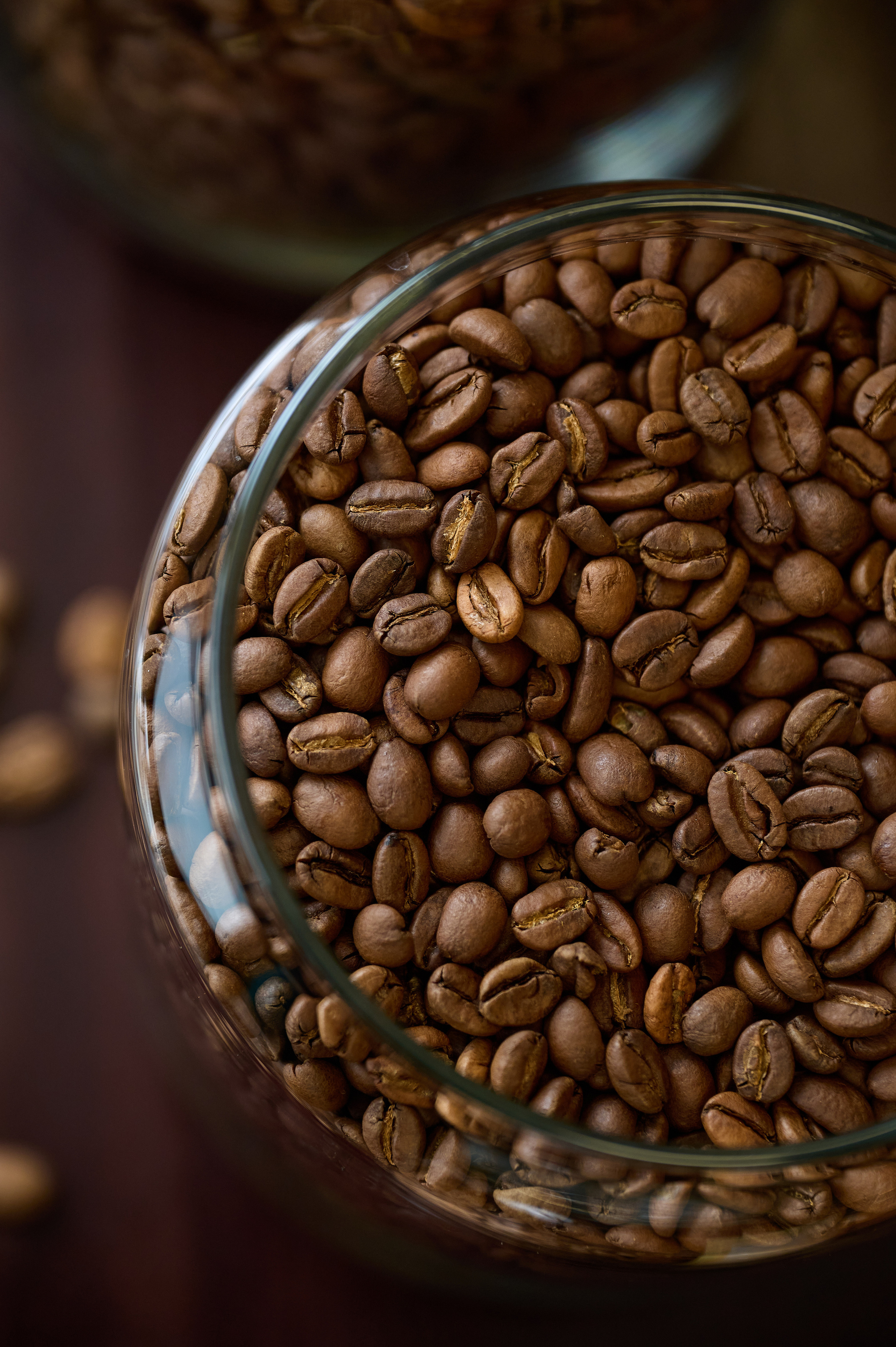 Чайный магазин. Фотограф Опыт Качество Скорость Горный Алтай Барнаул