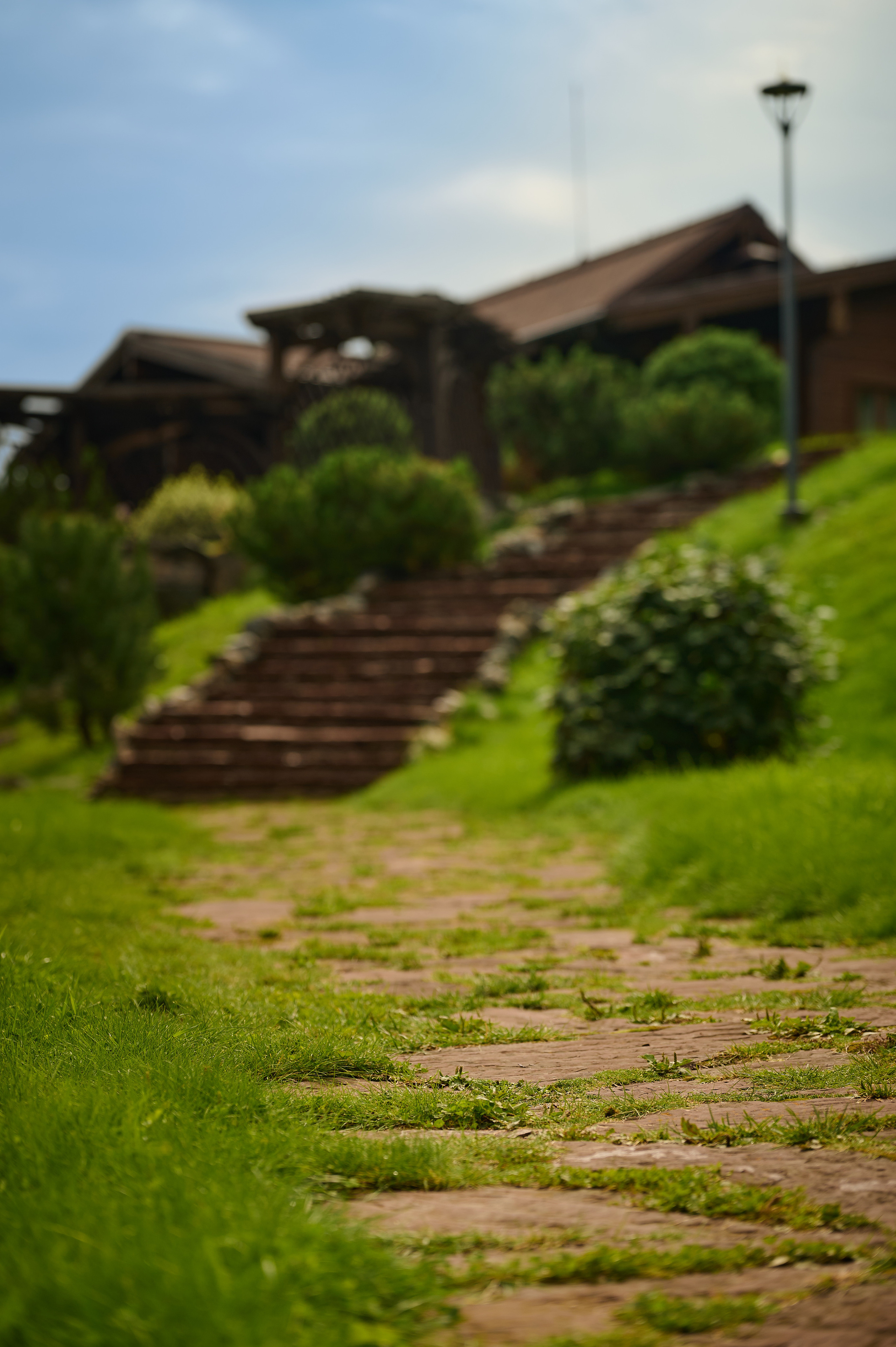 Altay Resort. Фотограф Опыт Качество Скорость Горный Алтай Барнаул