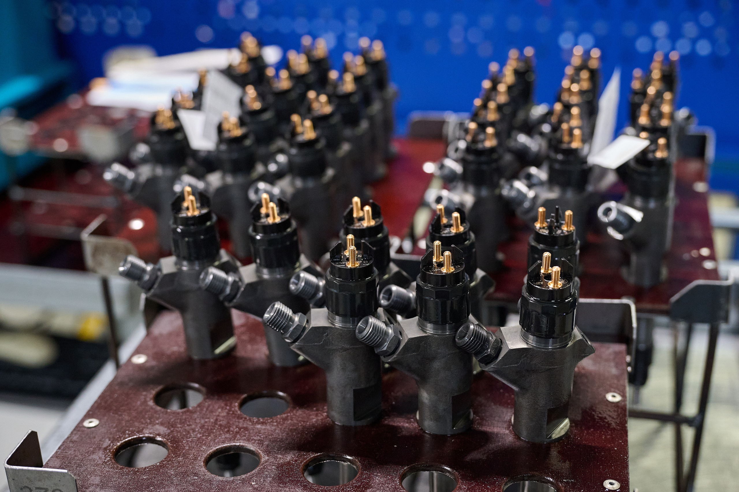 ФНЦ Репортаж. Фотограф Опыт Качество Скорость Горный Алтай Барнаул