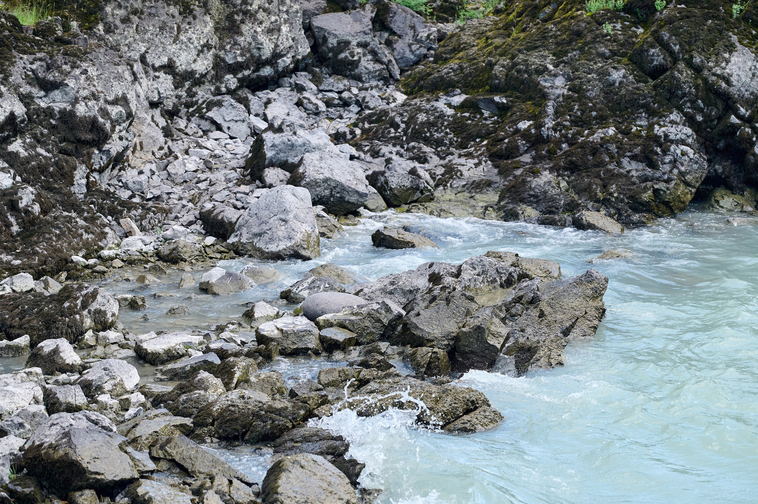 ДРПЗ 10 лет. Фотограф Опыт Качество Скорость Горный Алтай Барнаул