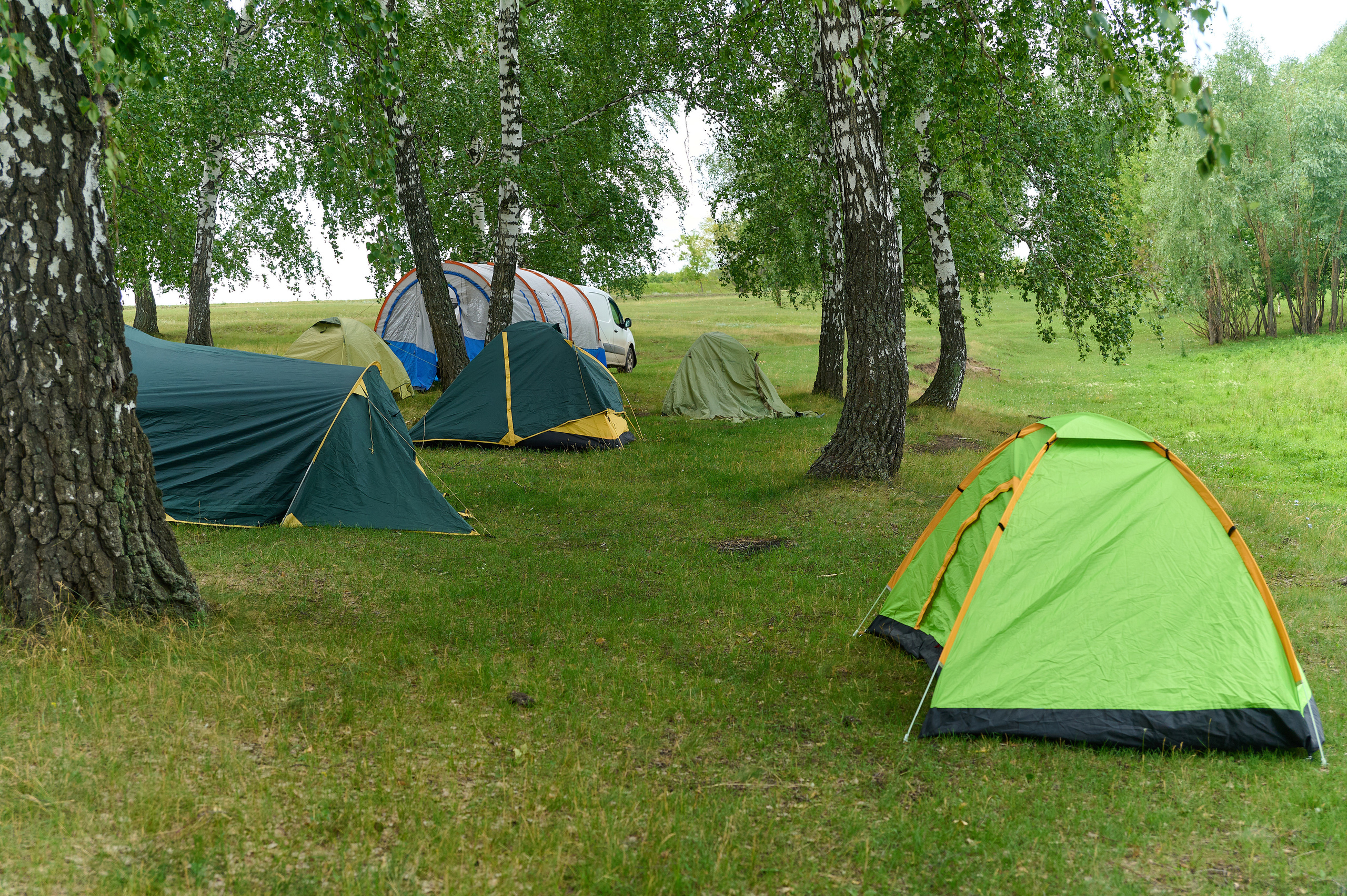 Стройотряды. Первый слёт ветеранов. Фотограф Опыт Качество Скорость Горный Алтай Барнаул