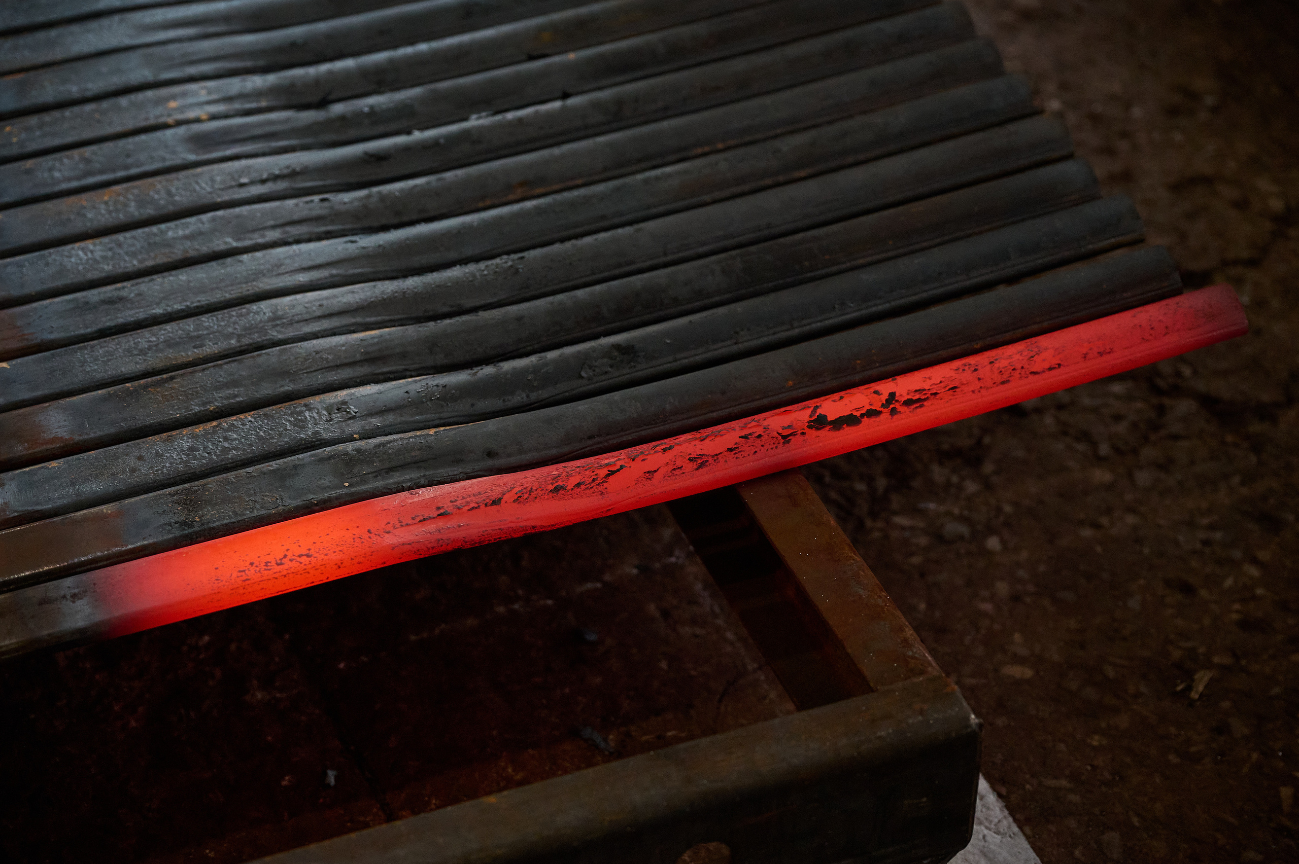 ФНЦ Репортаж. Фотограф Опыт Качество Скорость Горный Алтай Барнаул