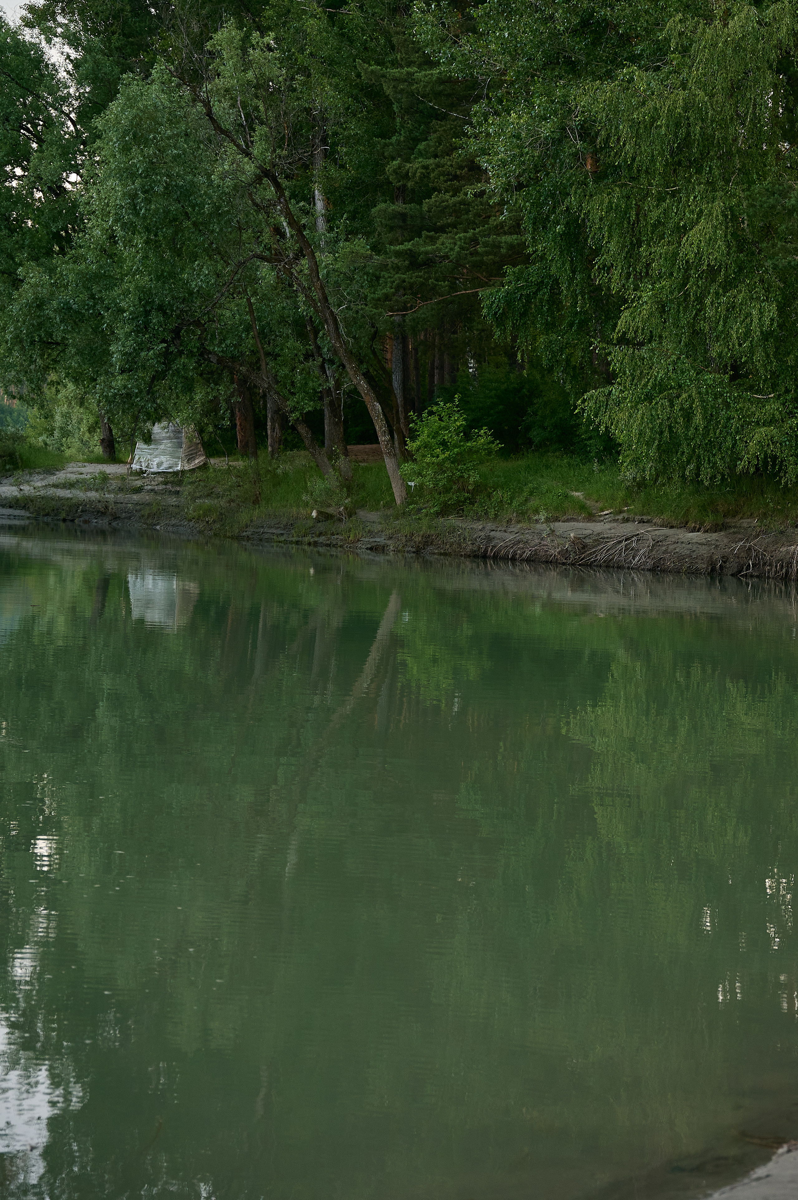 Пейзажный фотограф в Горном Алтае: съёмки природы и гор. Фотограф Опыт Качество Скорость Горный Алтай Барнаул