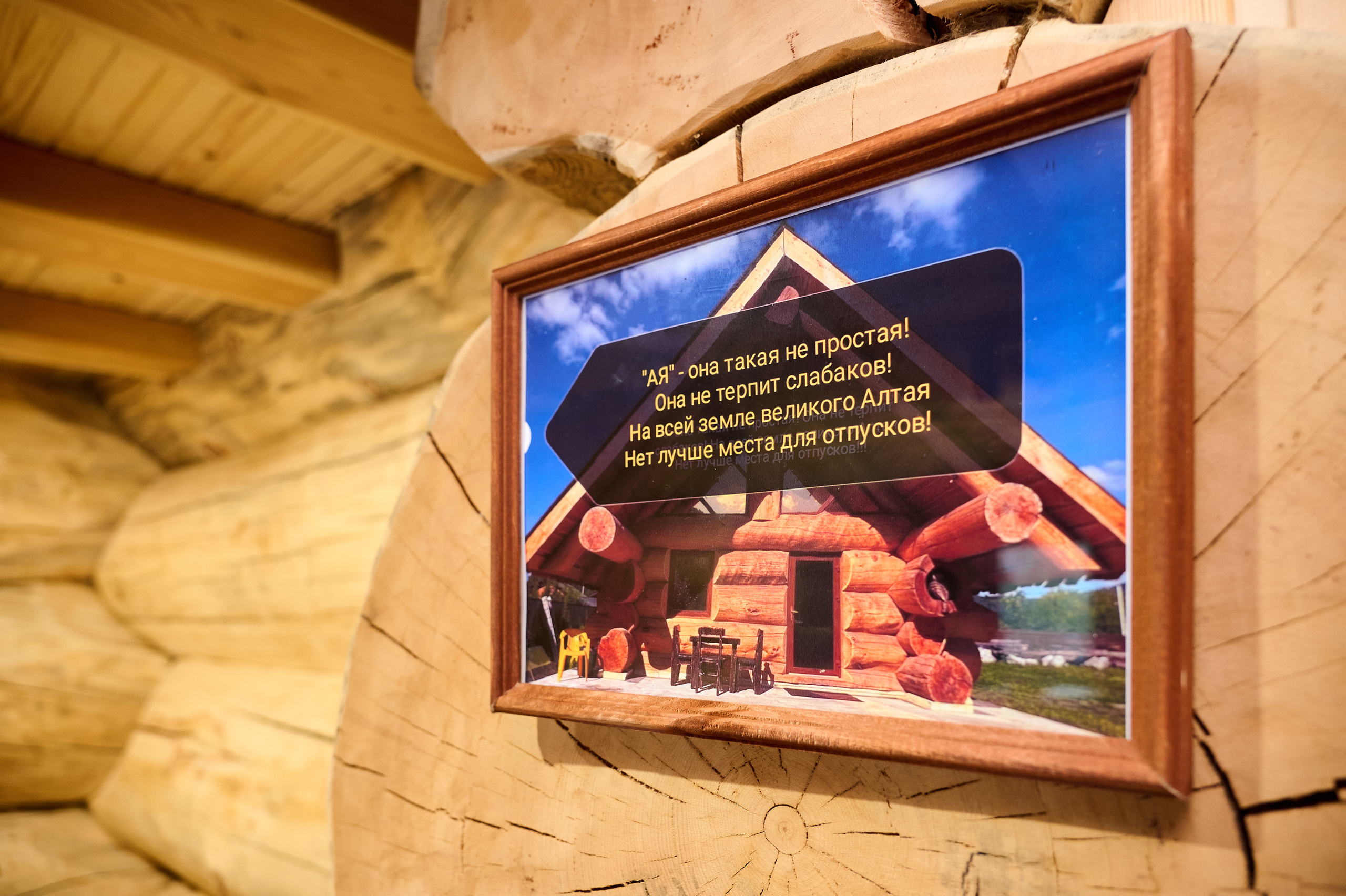 База отдыха 7 Небо. Фотограф Опыт Качество Скорость Горный Алтай Барнаул