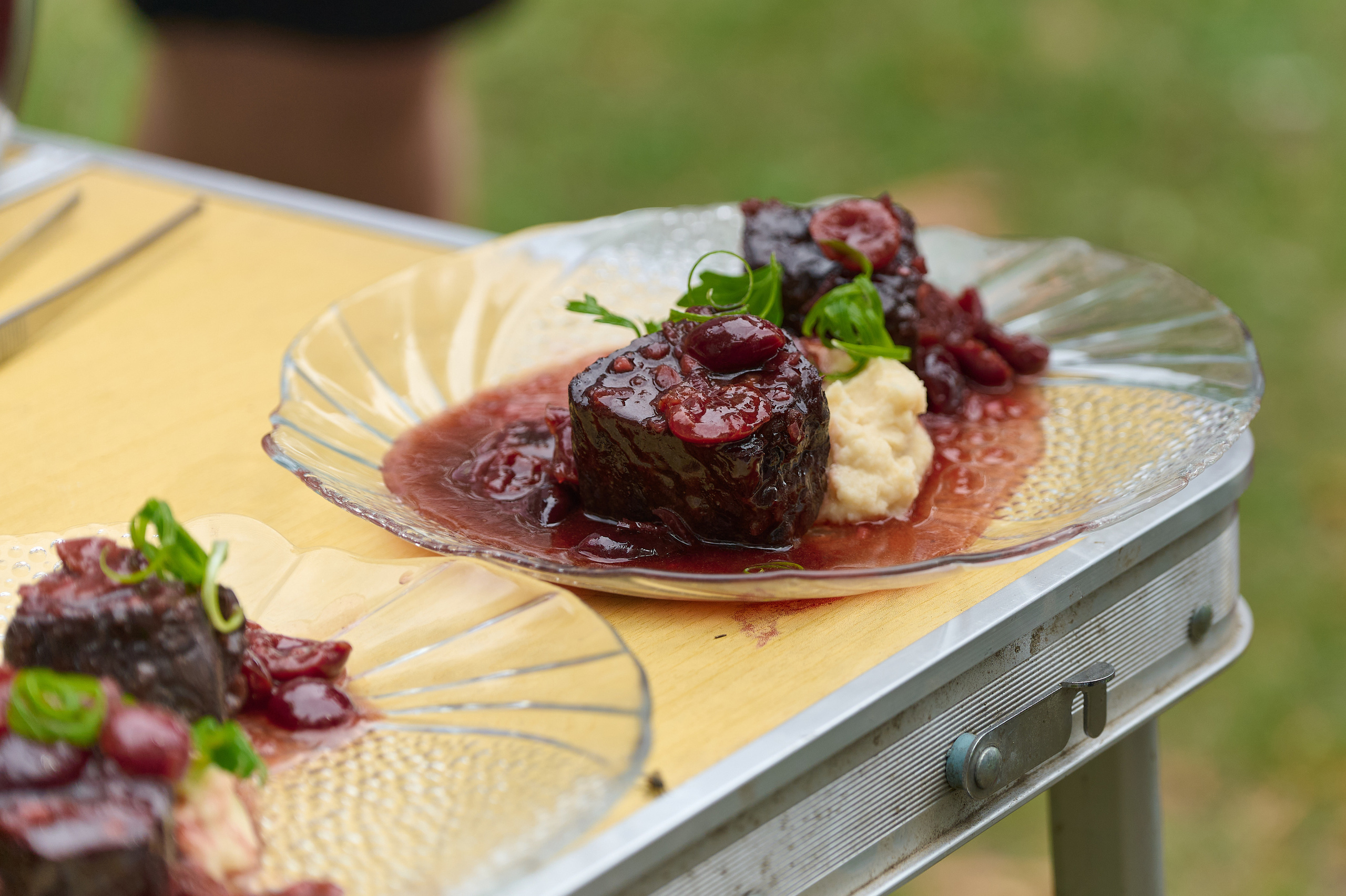 Стройотряды. Первый слёт ветеранов. Фотограф Опыт Качество Скорость Горный Алтай Барнаул